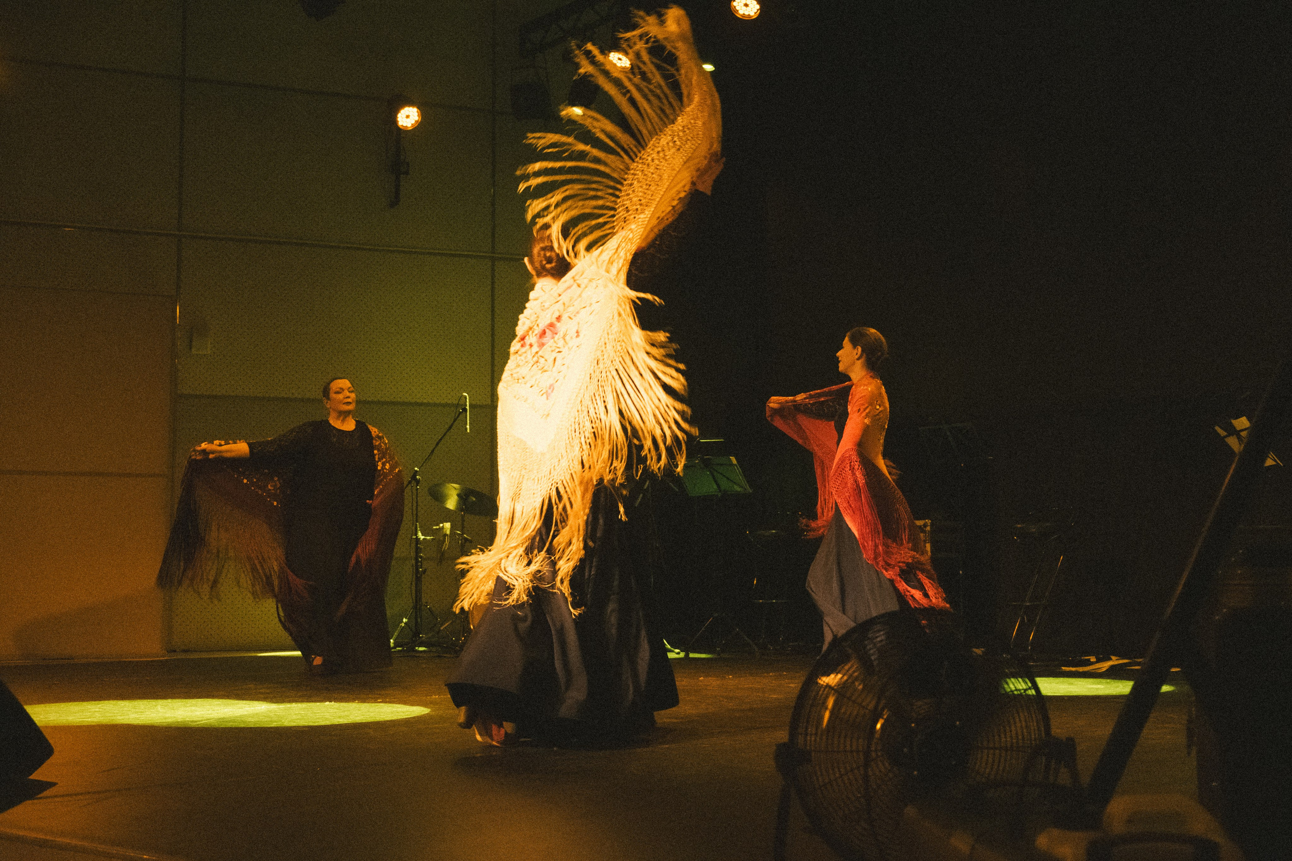 Спектакль «Mujeres» («Женщины»), студия фламенко Tierra del Sol. Анна Демидова — фотография для жизни и бизнеса в Абакане