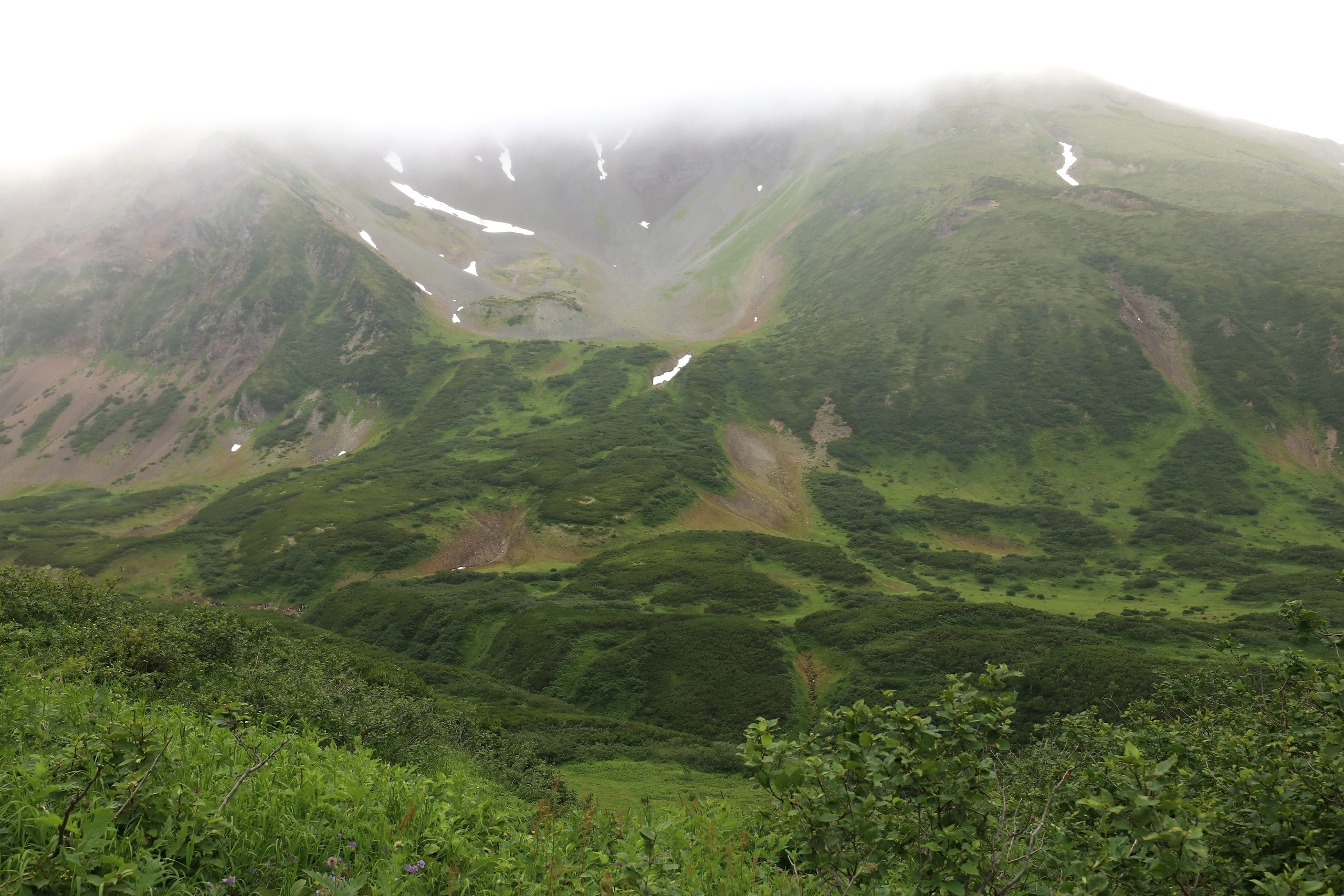 Камчатка и о. Парамушир. Июль 2024. Путешественник-фотограф из Санкт-Петербурга Татьяна Свистулина