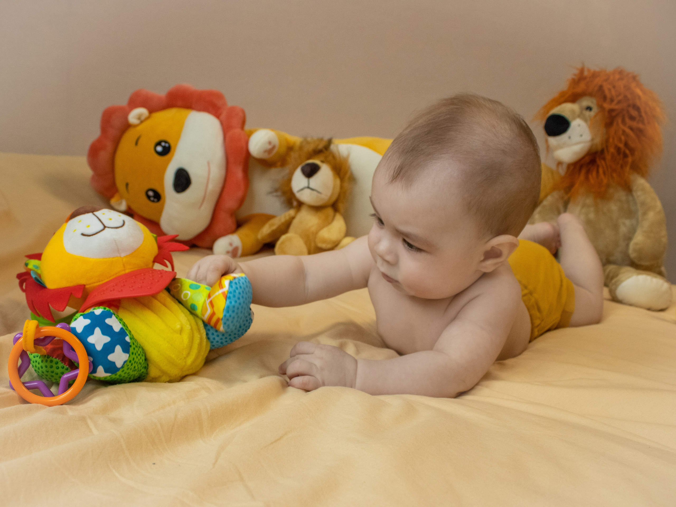 Настоящий Лев. Семейный и детский фотограф в Екатеринбурге