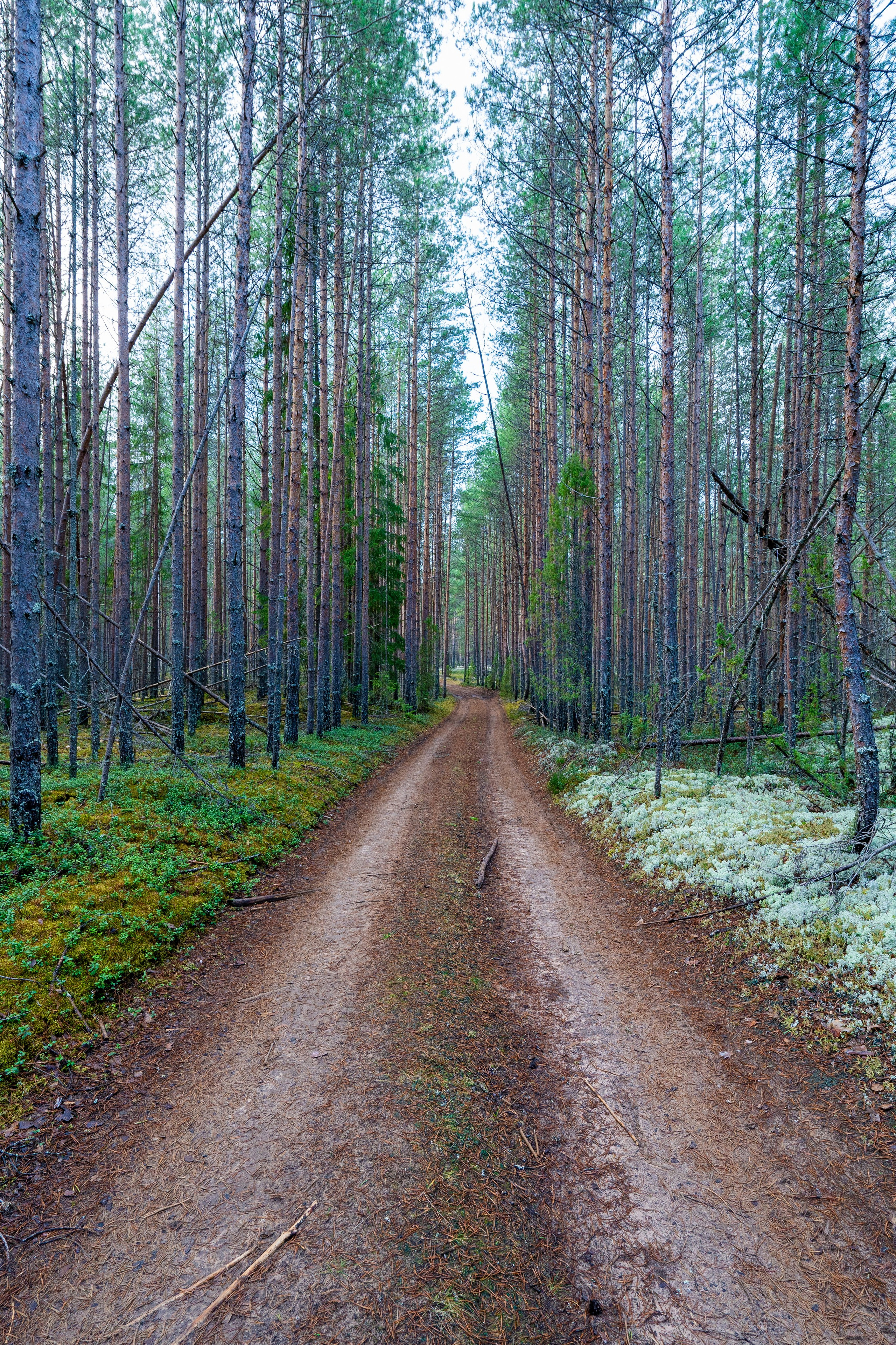 Творчество фотографа Евгения Расторгуева. Интерьерный фотограф Евгений Расторгуев