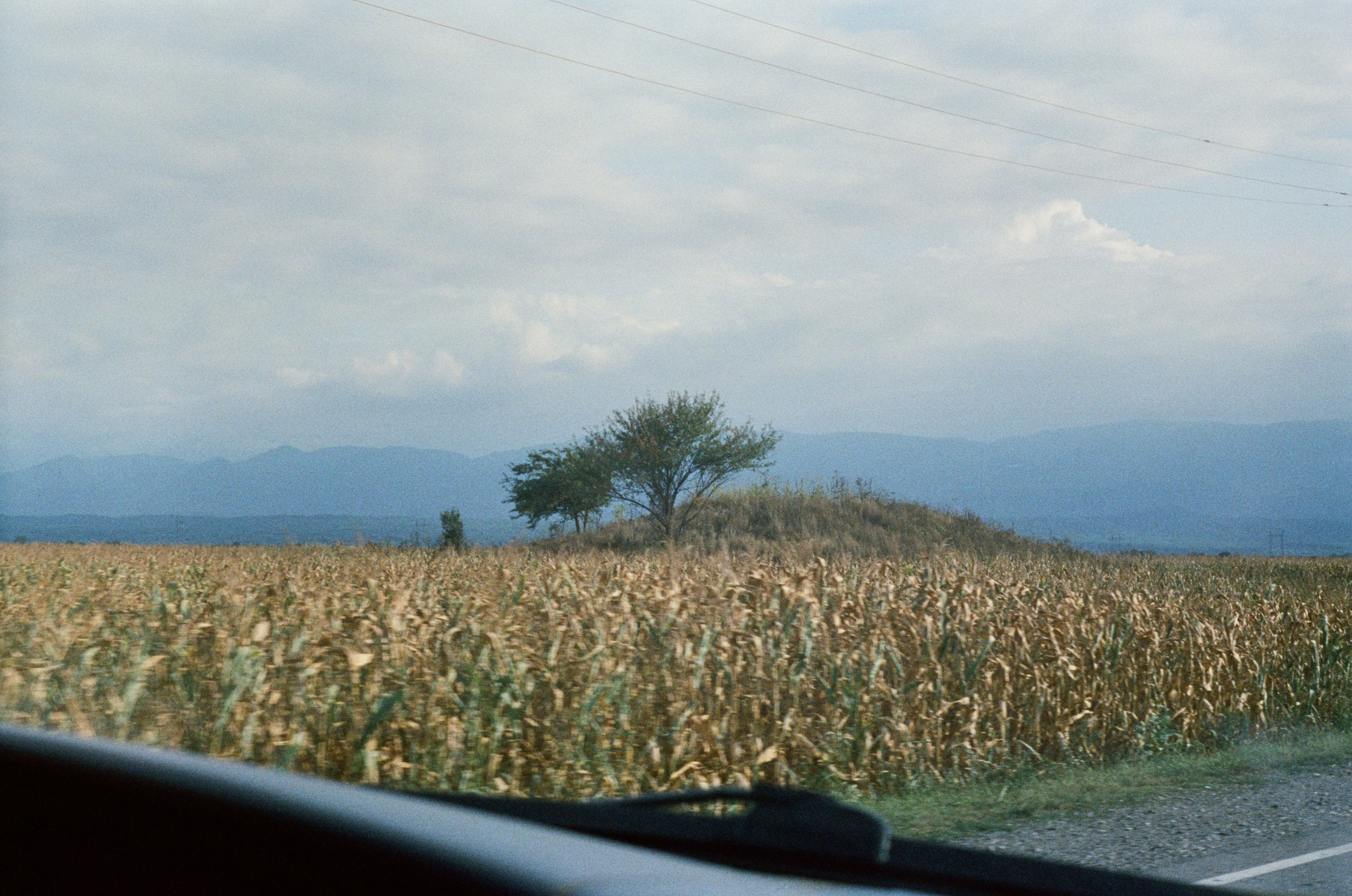 Landscape. Kharakhorkin Gleb — Director of Photography