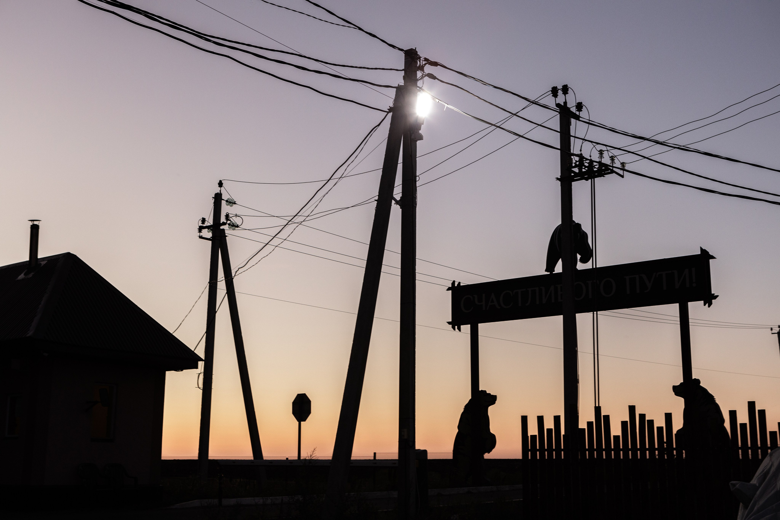 Саша и Виталия. Свадебный фотограф в Воронеже Вероника Богай