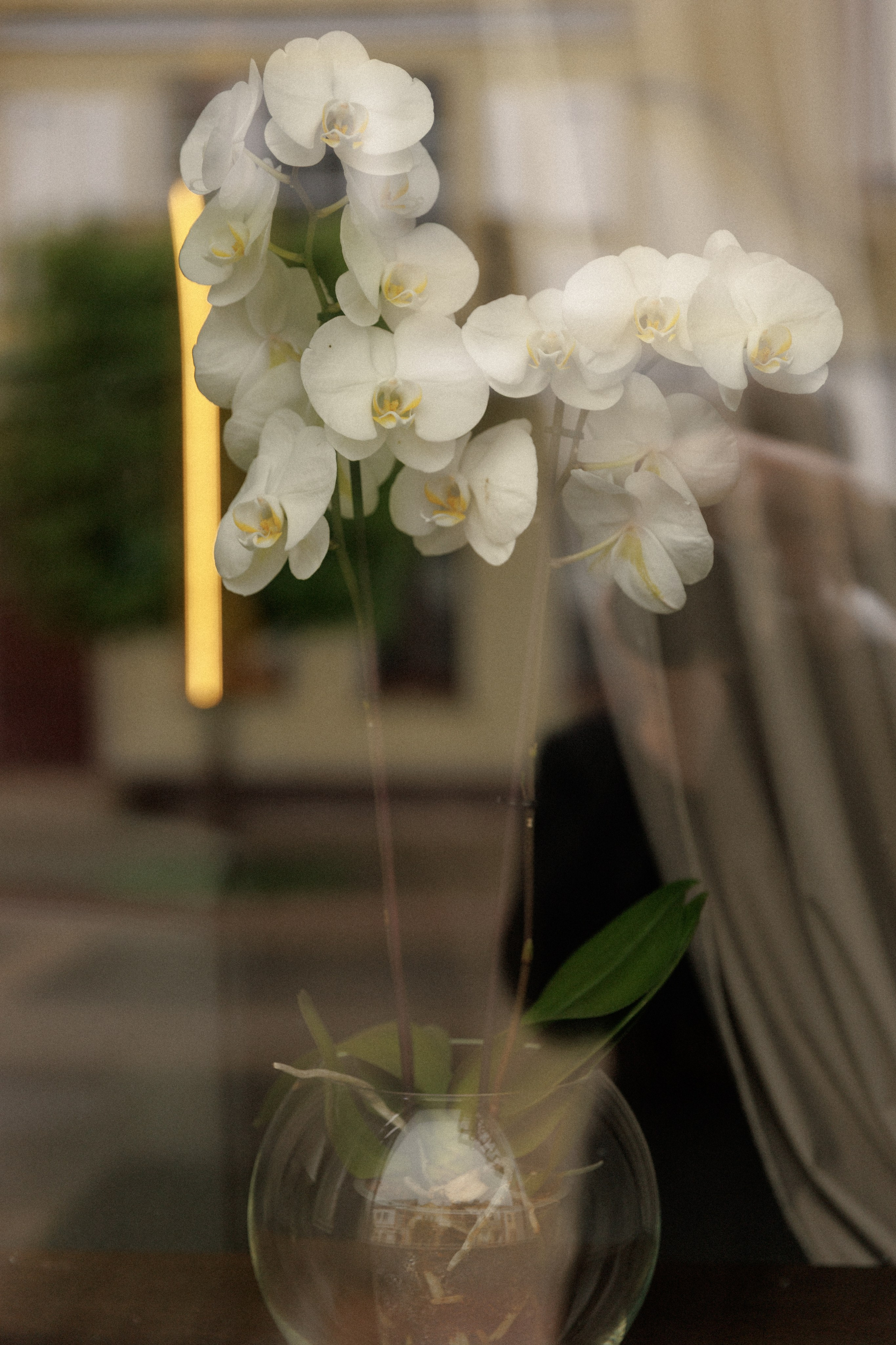 Wedding day 25/04/2025. Dima Lemeshevsky