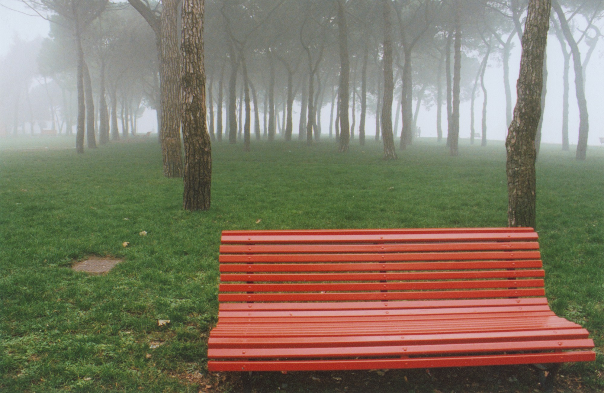 Art Series. Елена Цихон художник фотографии и мастер фото-ДНК