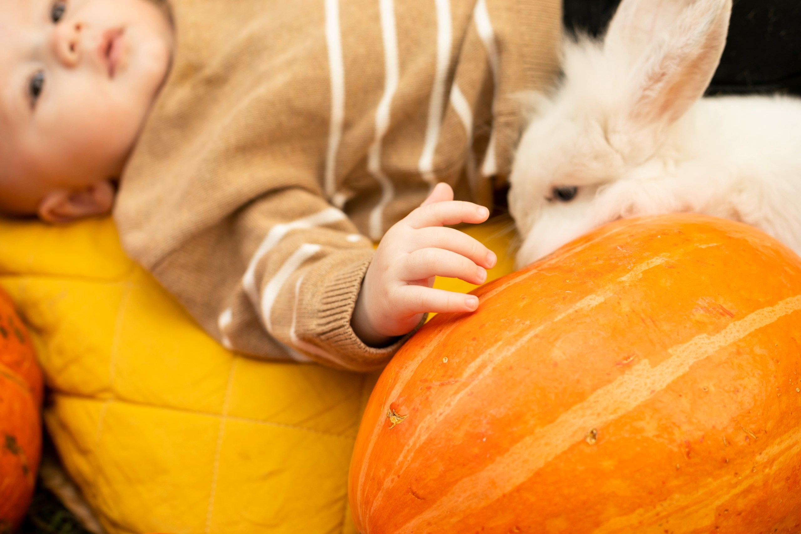 Семейные. Семейный фотограф новорожденных Нальчик