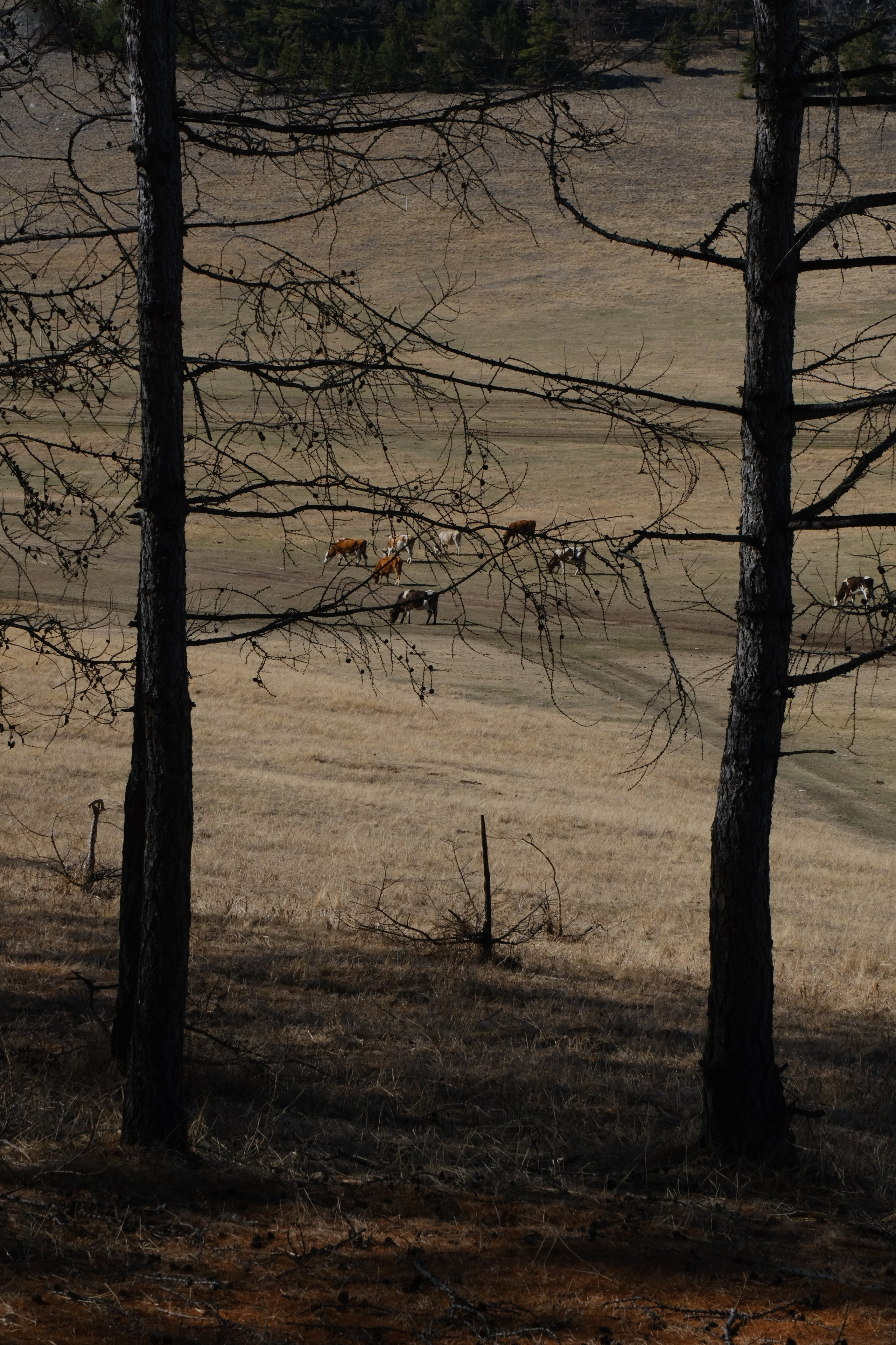Байкал I Май 2023. Commercial photographer Natalia Bychkova