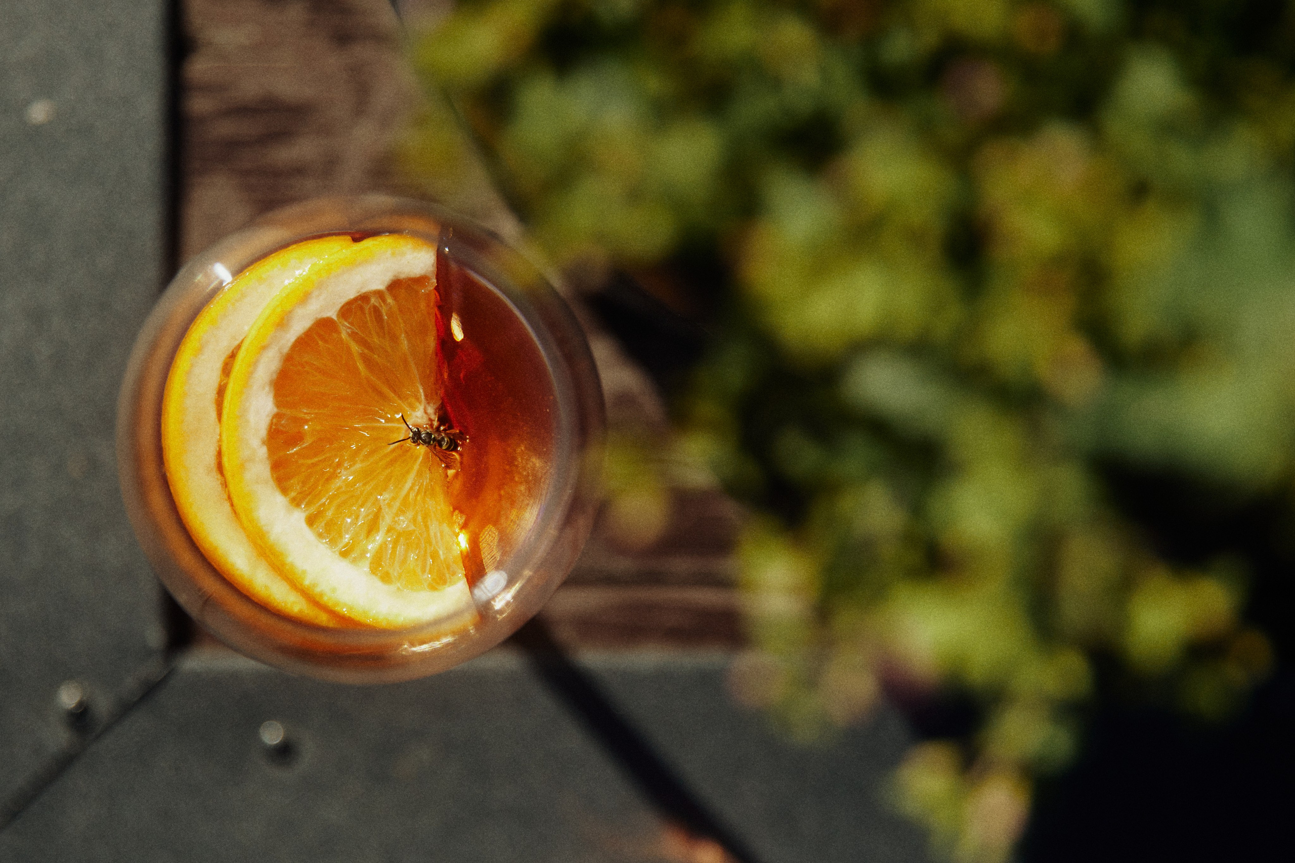 THE GRAND BUDAPEST. Дмитрий Мазуркевич: Профессиональный Репортажный Фотограф