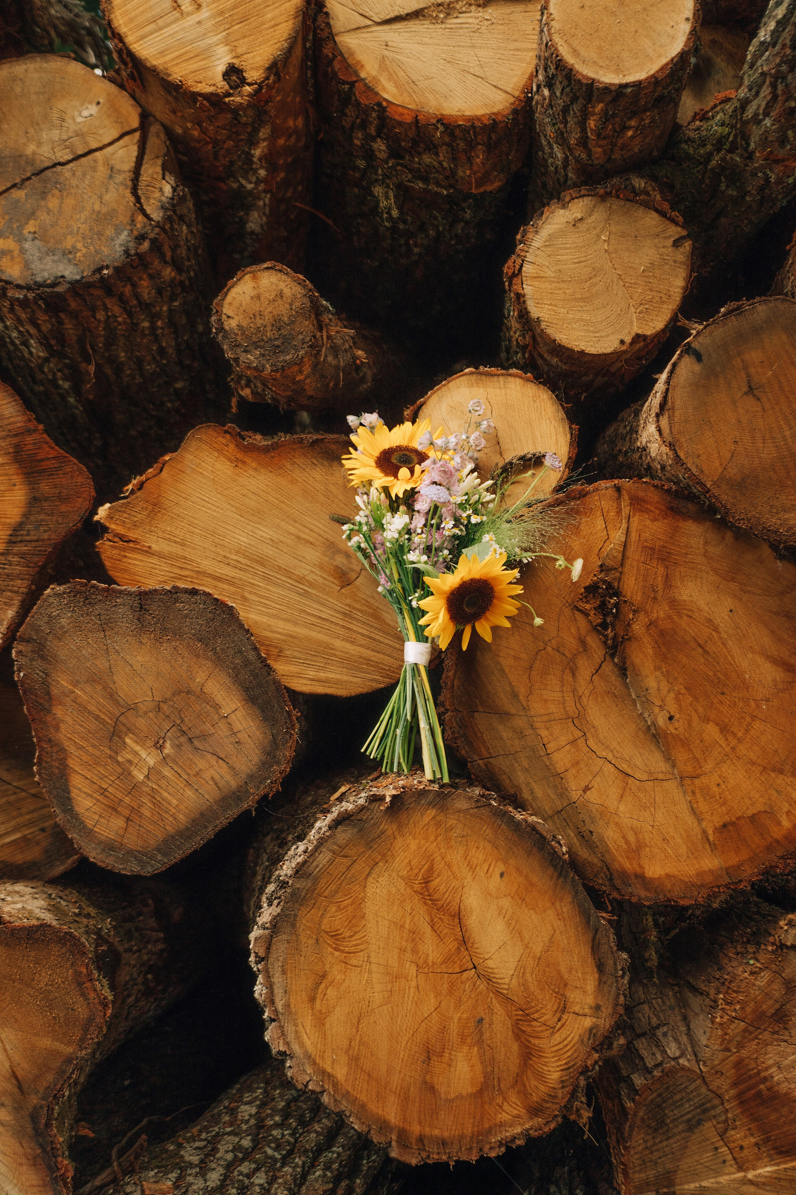 СВАДЬБЫ ♡ (серии). Свадебный фотограф