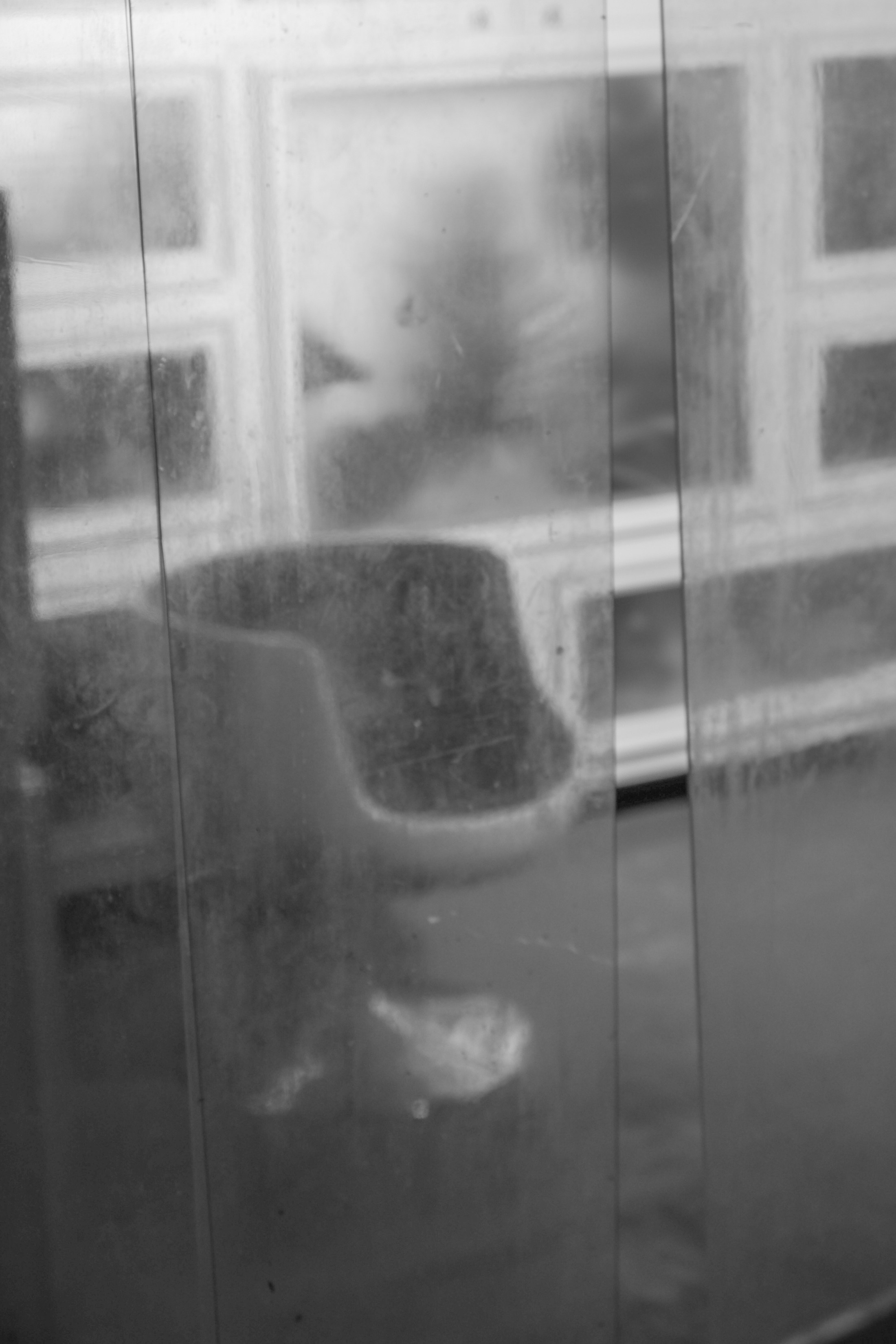 Антиутопия в цветах. Фотограф | Александр Очковский