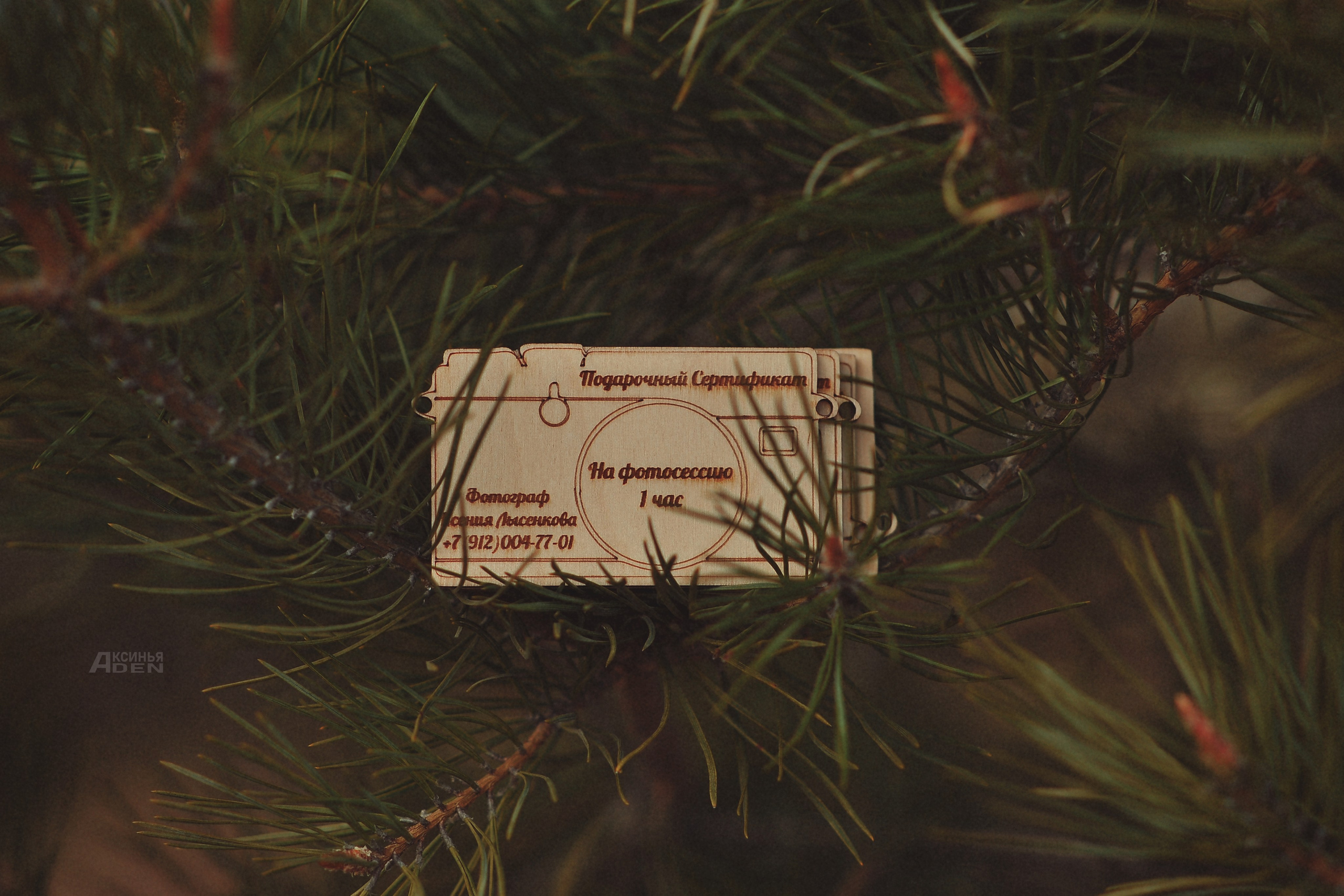 Подарочный сертификат на фотосессию в Ижевске. Детский, семейный фотограф в Ижевске и Москве Аксинья Лысенкова ADEN