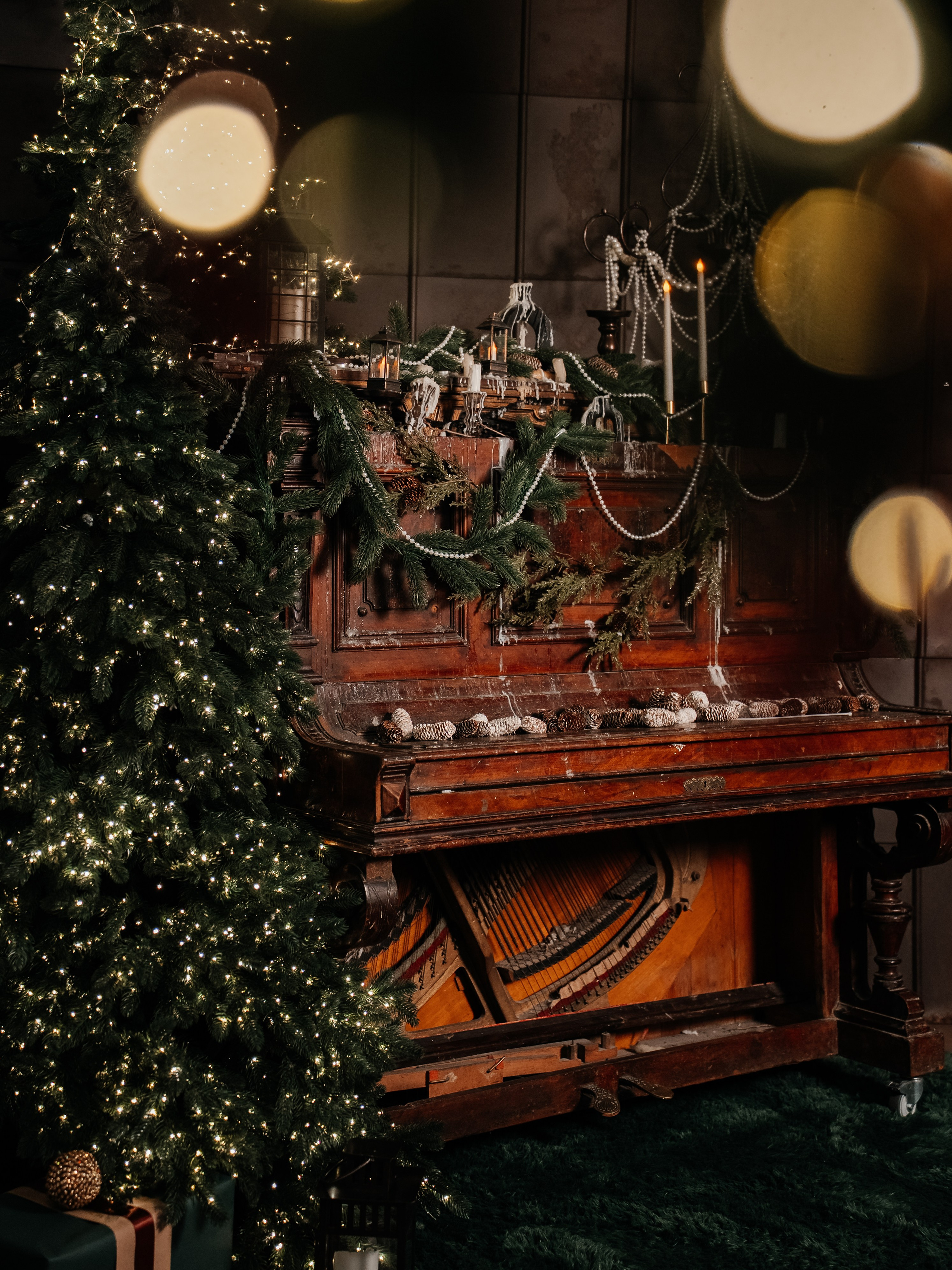 LA FOTO (Гагарина) ИНТЕРЬЕРНЫЙ (45 м²). Семейный фотограф Валентина Качур в Сочи