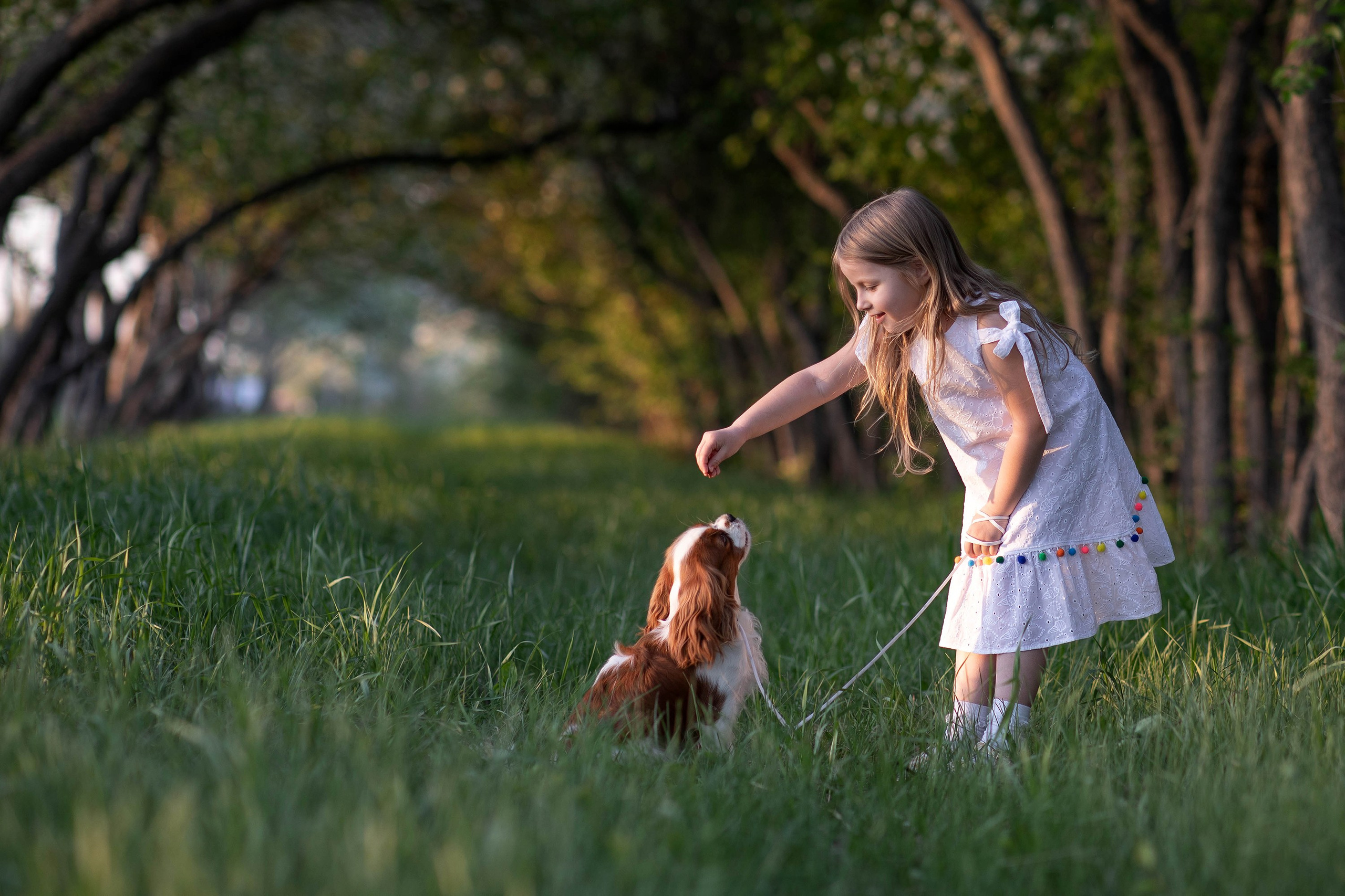 Выездная съёмка с естественным светом. Фотограф-анималист в Омске Екатерина Маричева