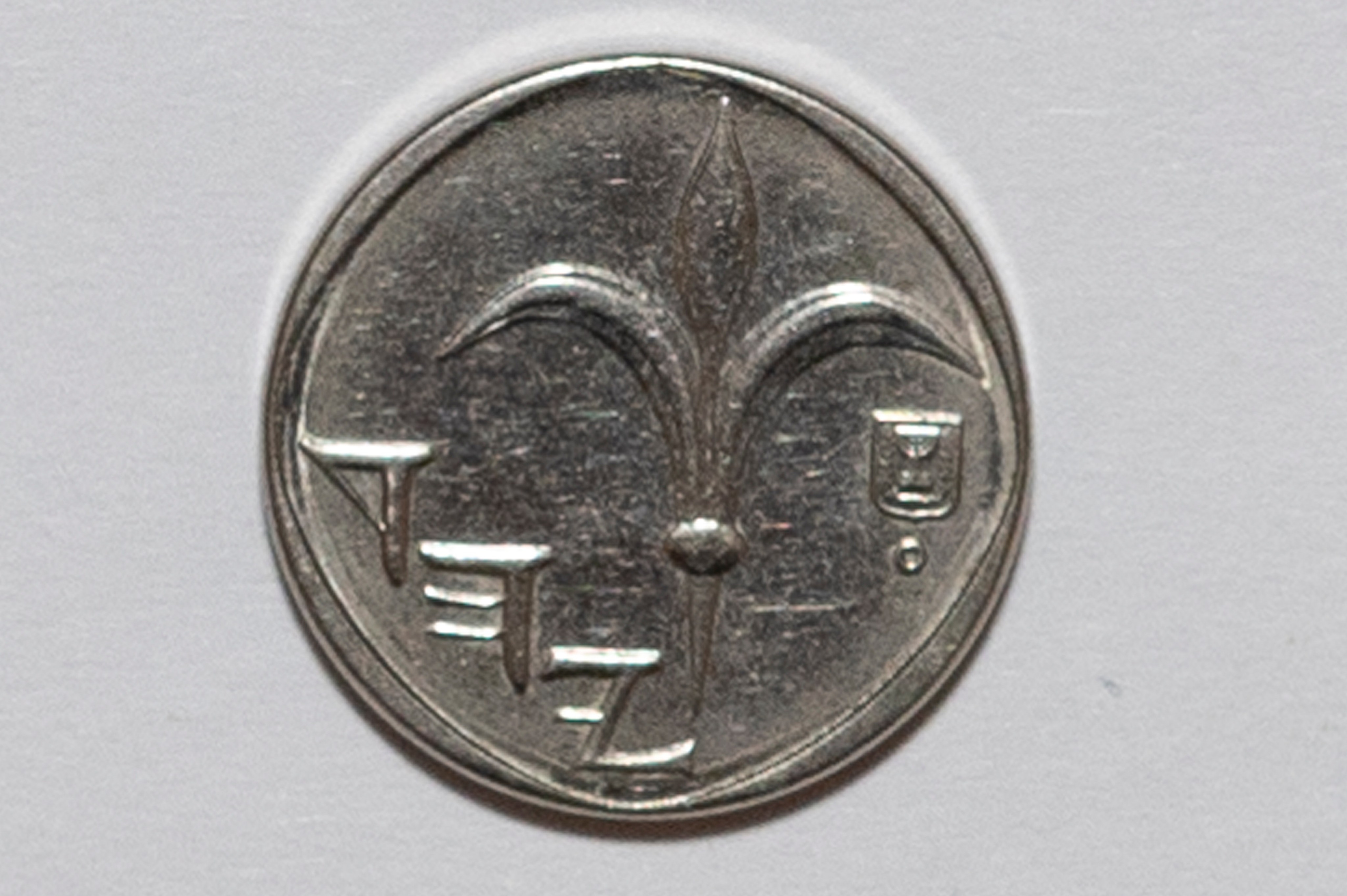 Монеты для Нумизмата. Детский и семейный фотограф г. Москва Оксана Катаджи