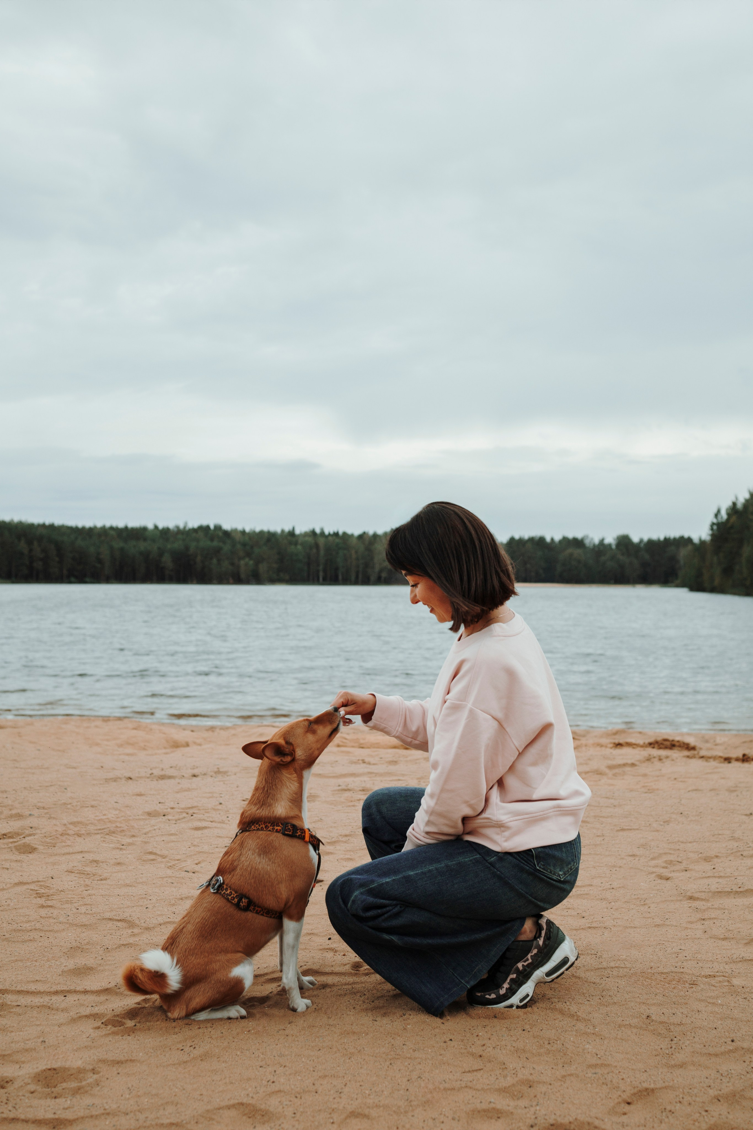 Даша и Лора. Фотограф-анималист в Санкт-Петеребурге Титова Алиса