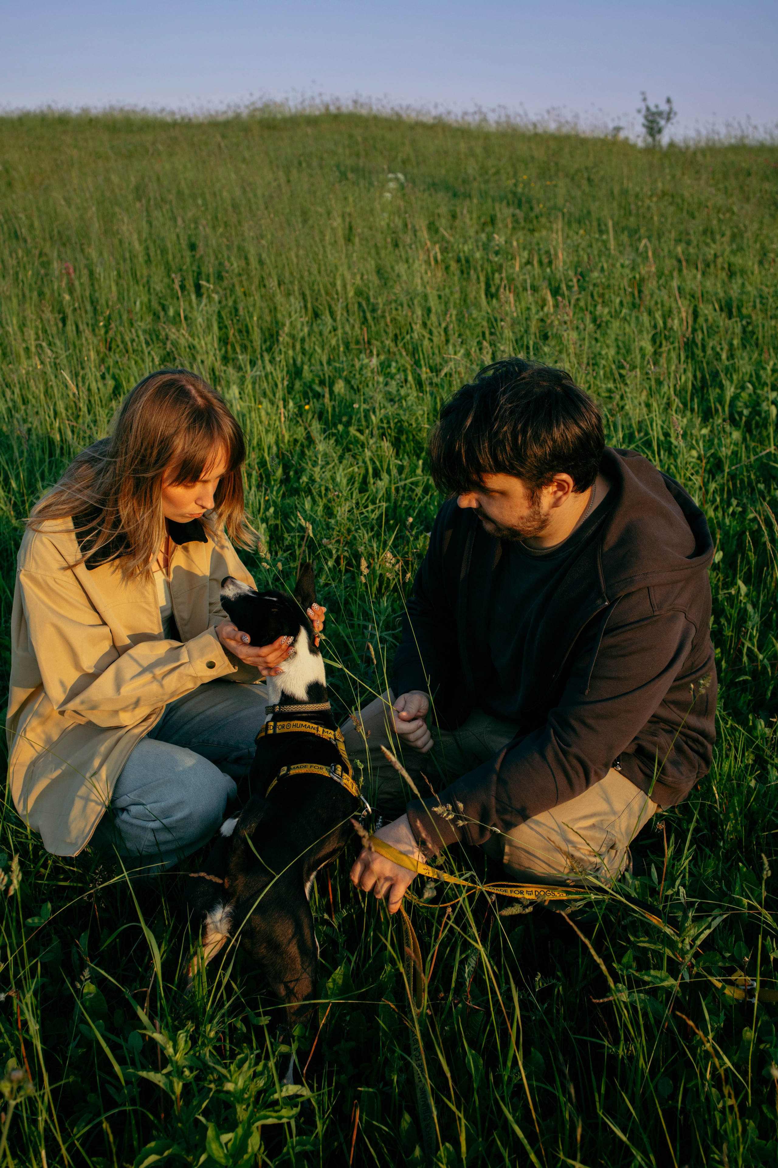 Итачи и его семья 🐾. Фотограф-анималист в Санкт-Петеребурге Титова Алиса
