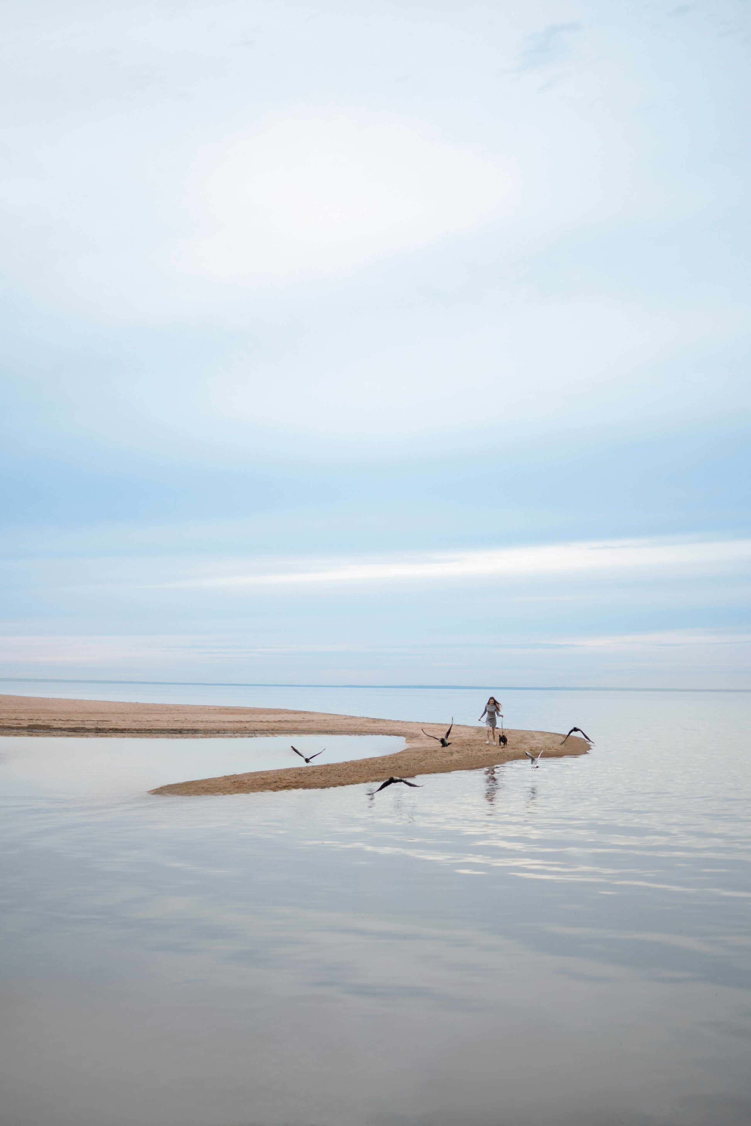 Фотограф-анималист в Санкт-Петеребурге Титова Алиса