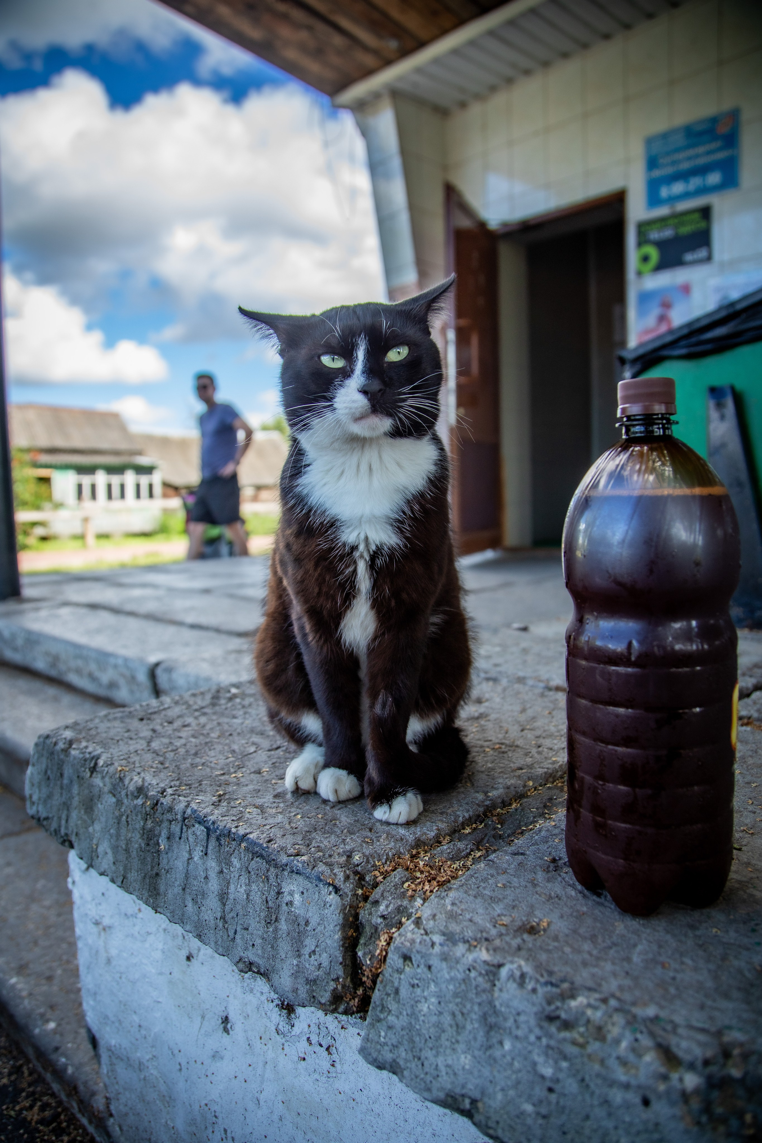 Про жизнь. Фотограф Сергей Ловкий