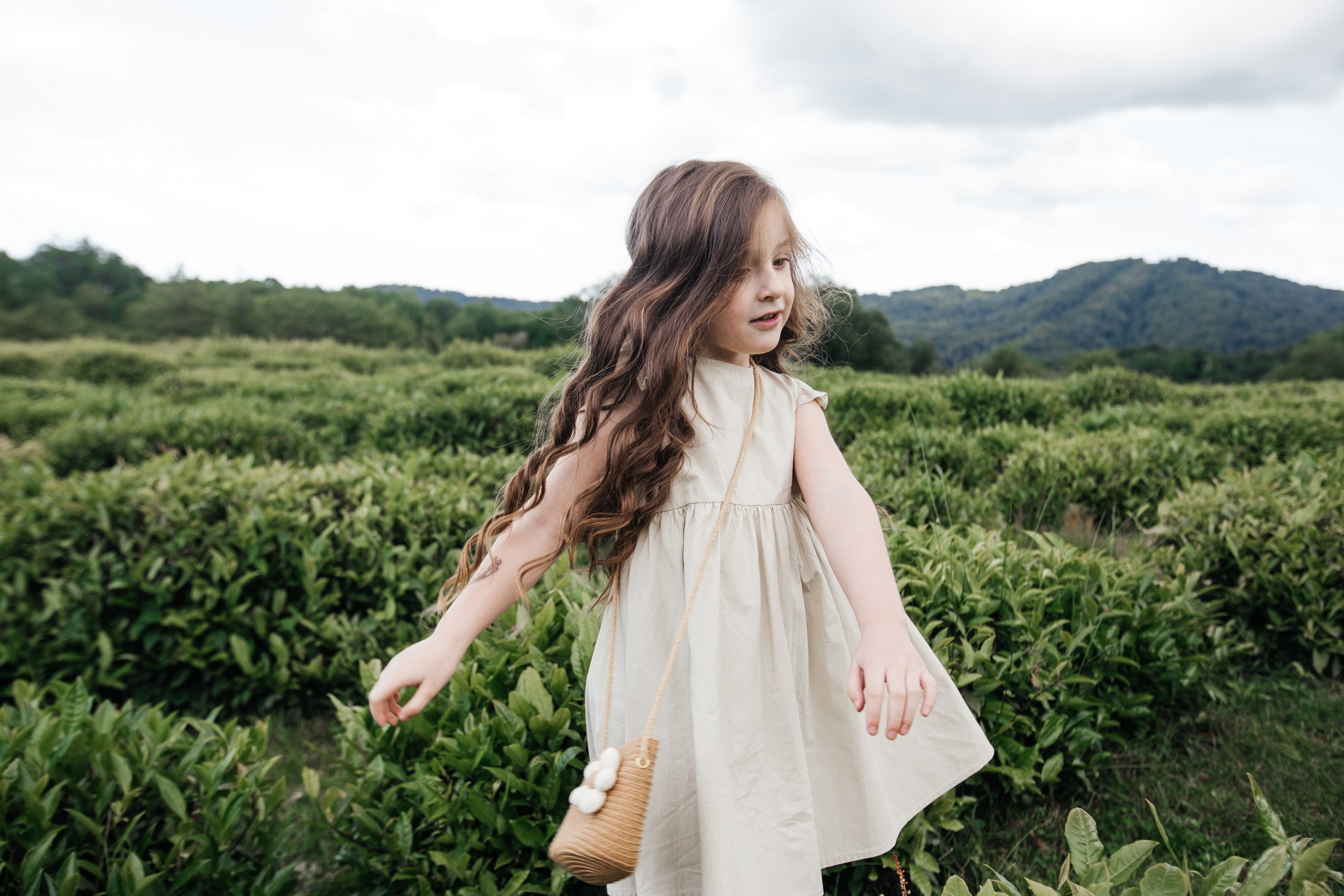 Tea plantation. Efimova Model Agency