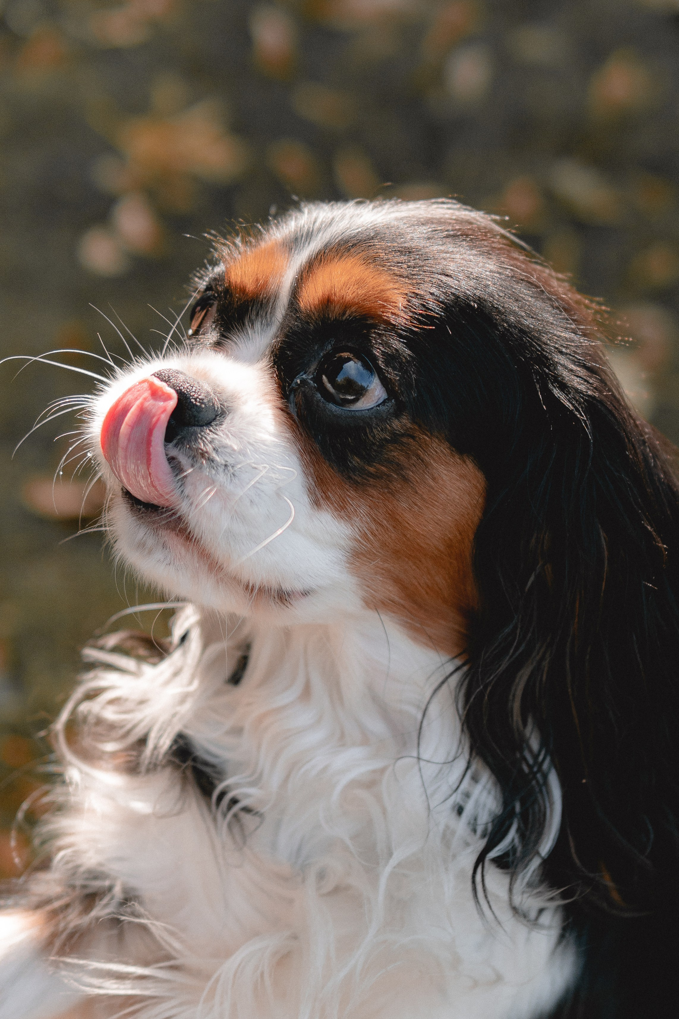 Катя и Беки: осенняя история. Портретный и репортажный фотограф в Воронеже: Анастасия Пузикова