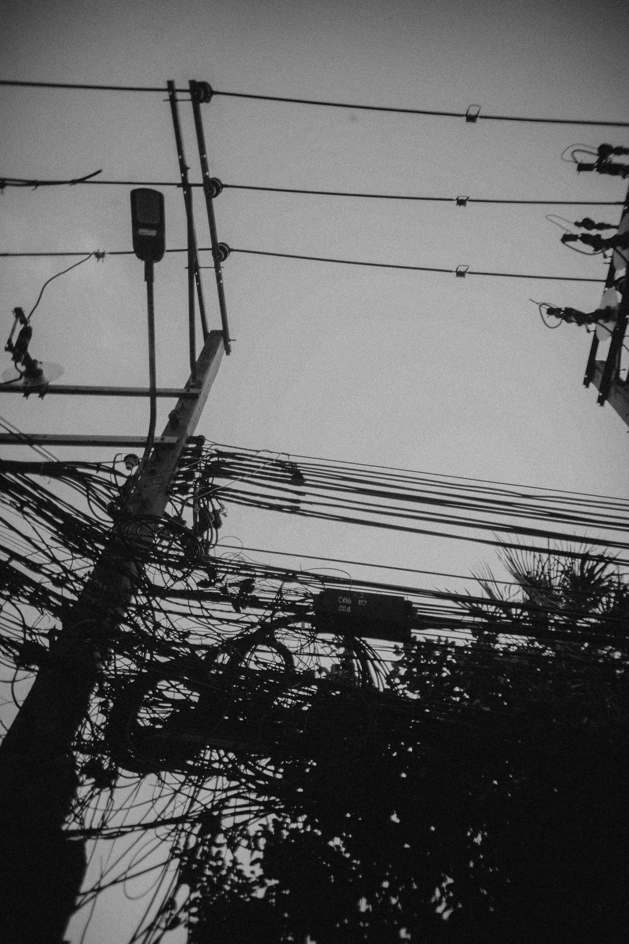 Шри + Бангкок. Фотограф Тбилиси Саша Мороз