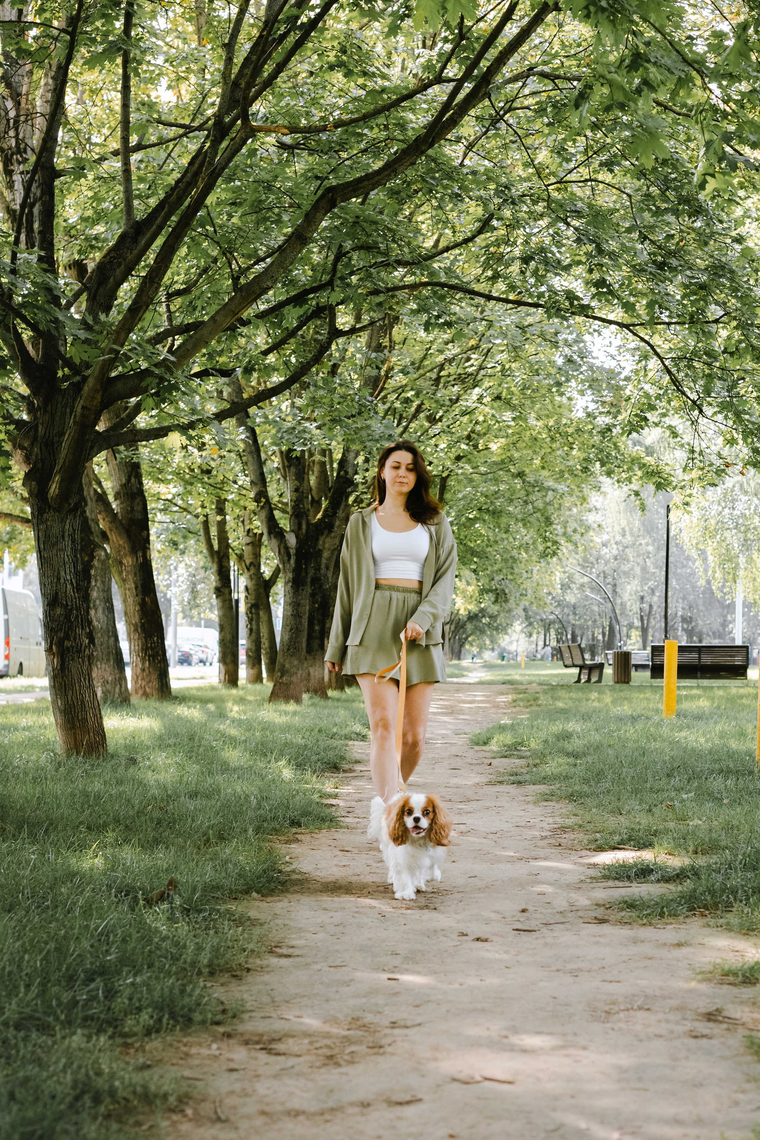 Фотопрогулка на бульваре. Фотограф-анималист Татьяна Степанова