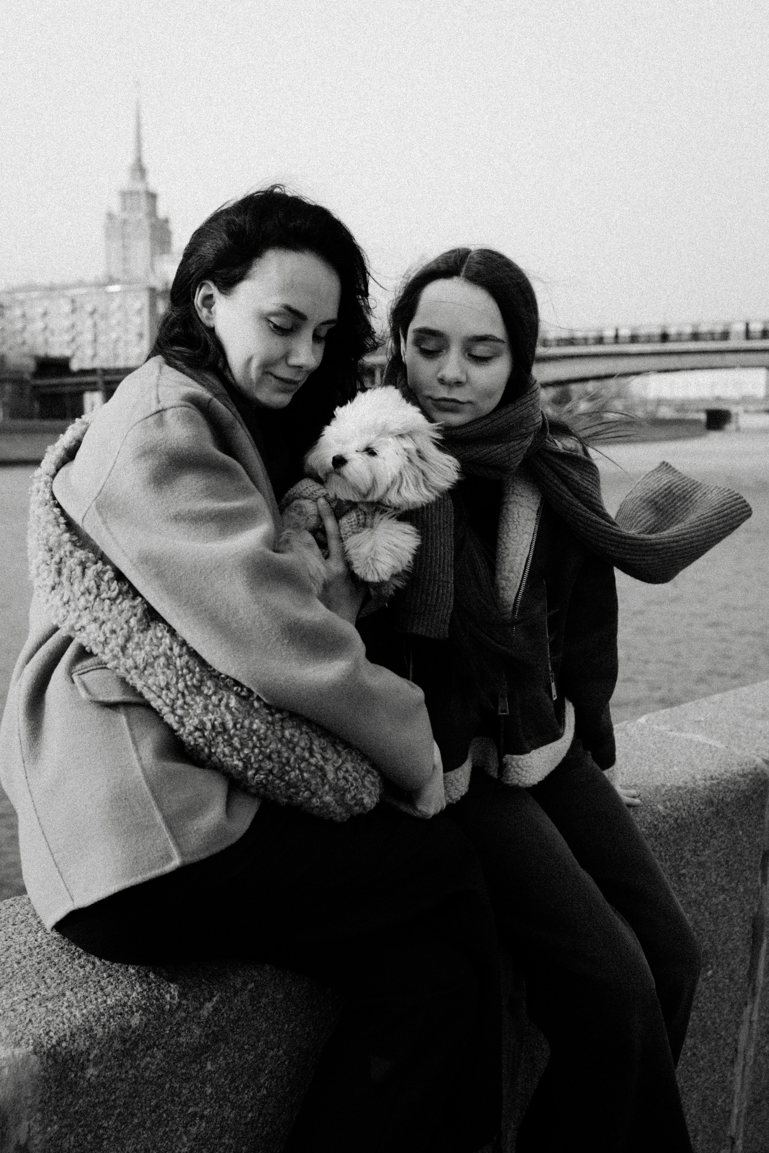 Маша, Лиза и Луна. Фотораф — анималист Мария Шистка