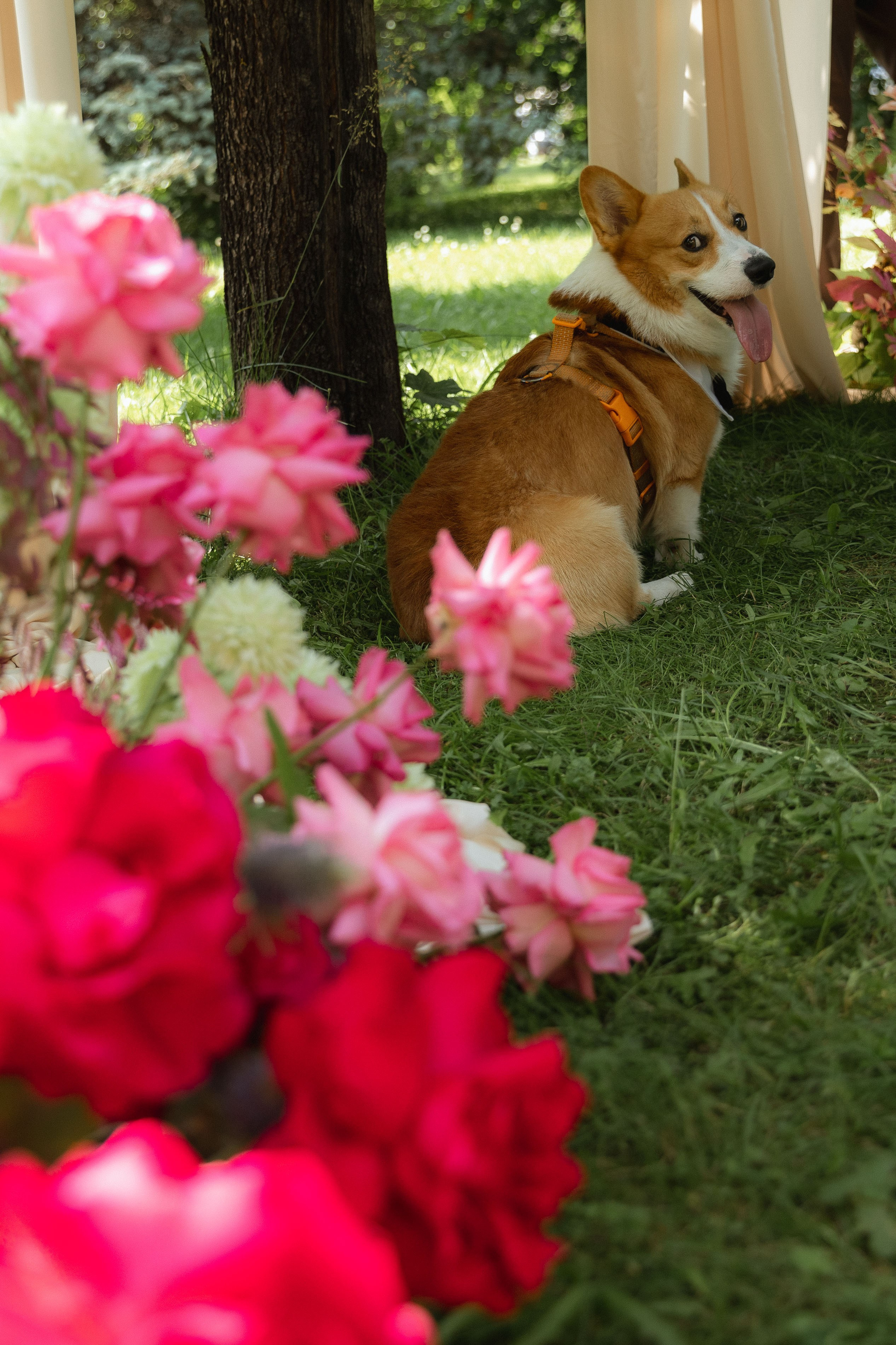 ТЫ — моё навсегда. Свадебный фотограф Ярославль, Рыбинск