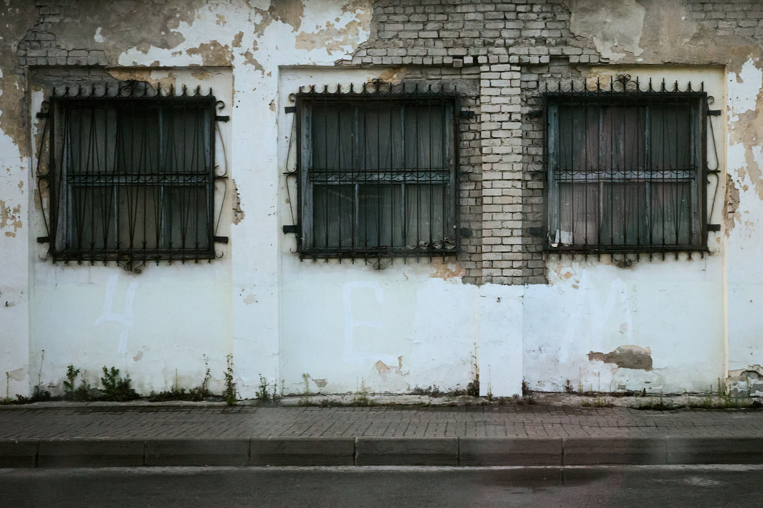 Street. Фотограф Елизавета Ляпина