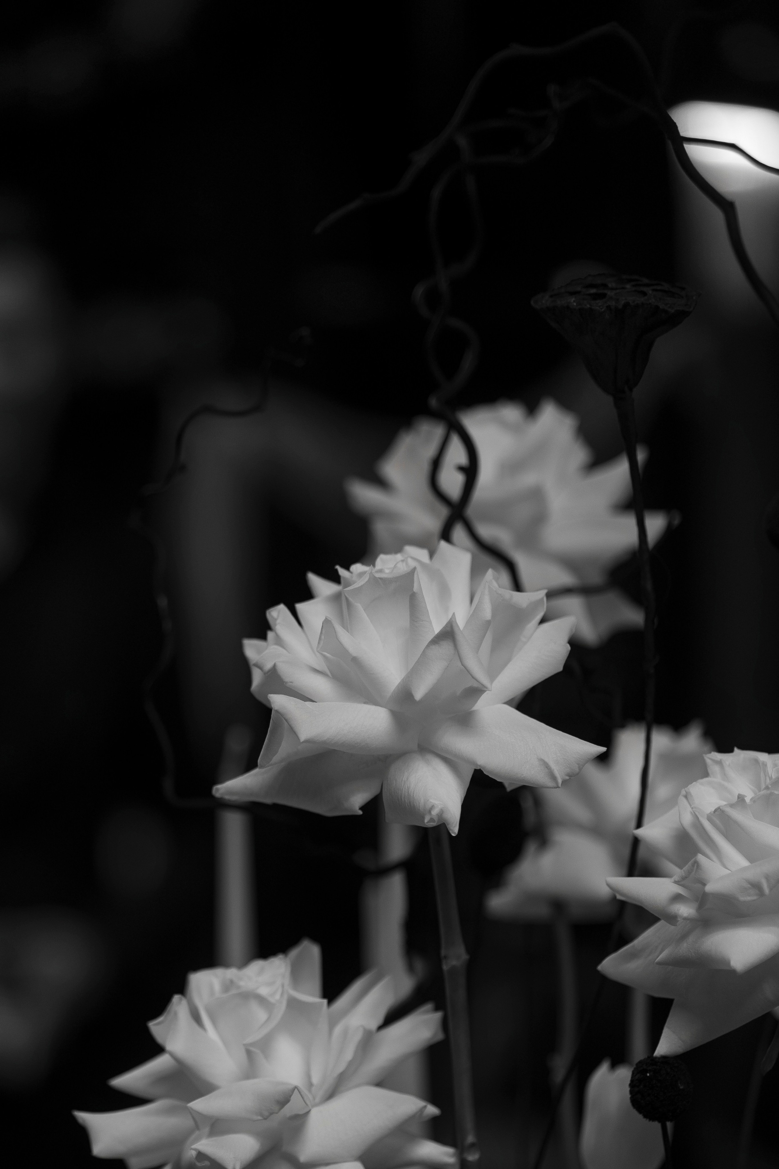 Портфолио репортаж. Репортжаный и свадебный фотограф Москва, Влада Азарова