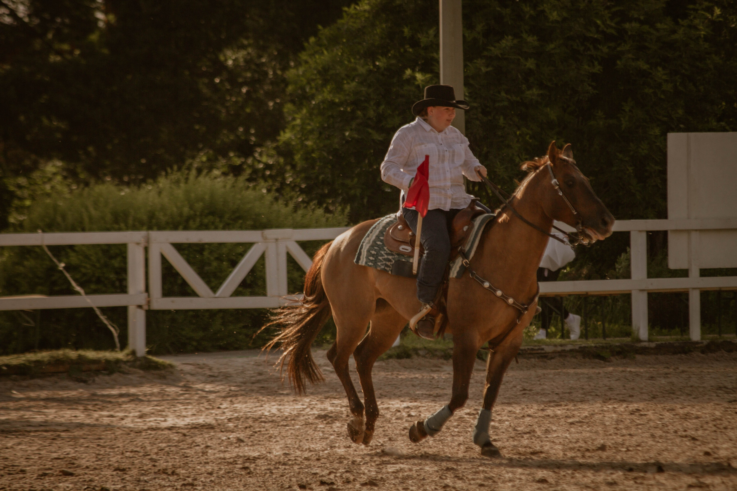ИППОСФЕРА — Международная конная выставка. Создадим шедевр? Виталина и её фотоискусство