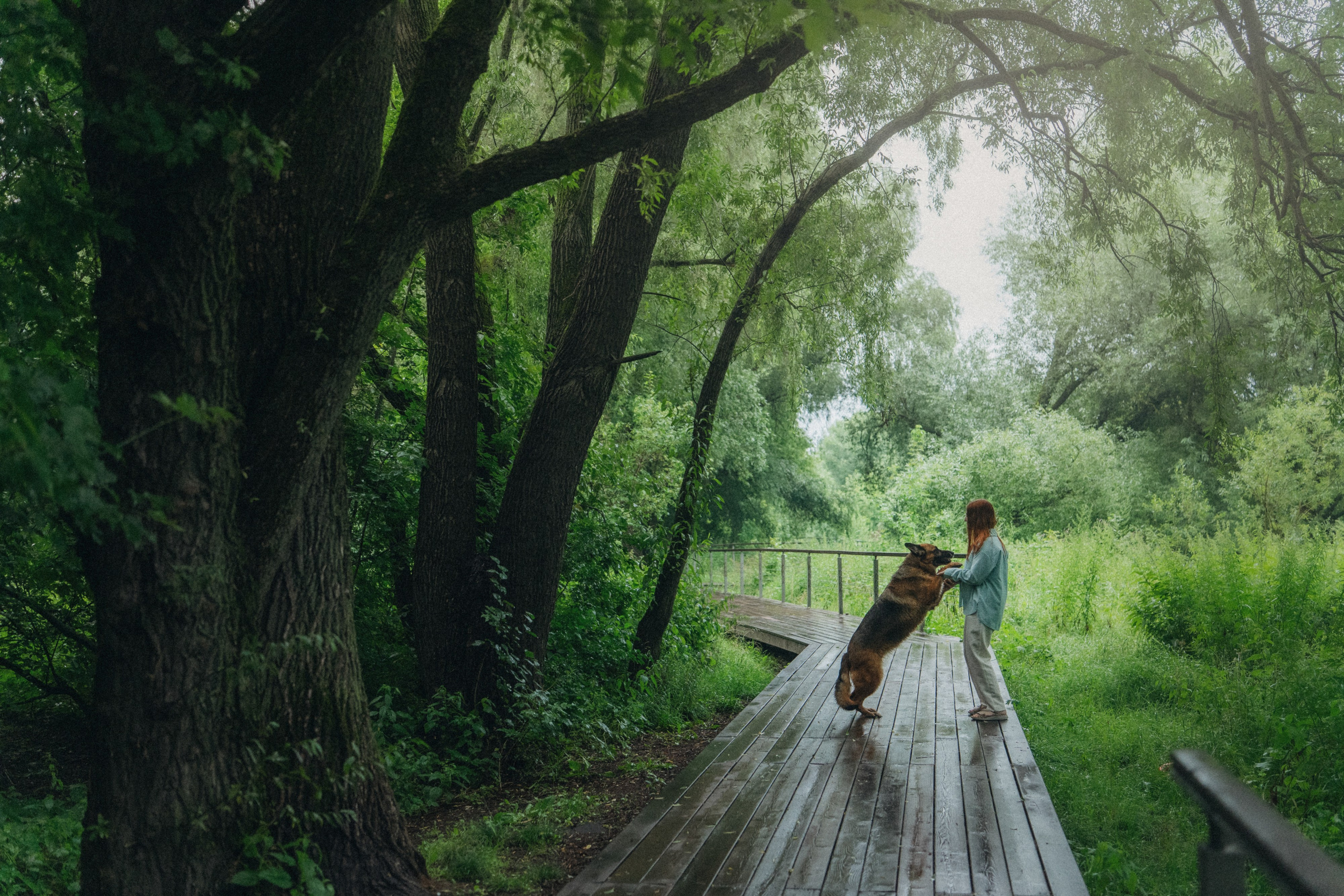 Вика и Фрея. Фотограф анималист в Москве и Санкт-Петербурге Свиридова Анна