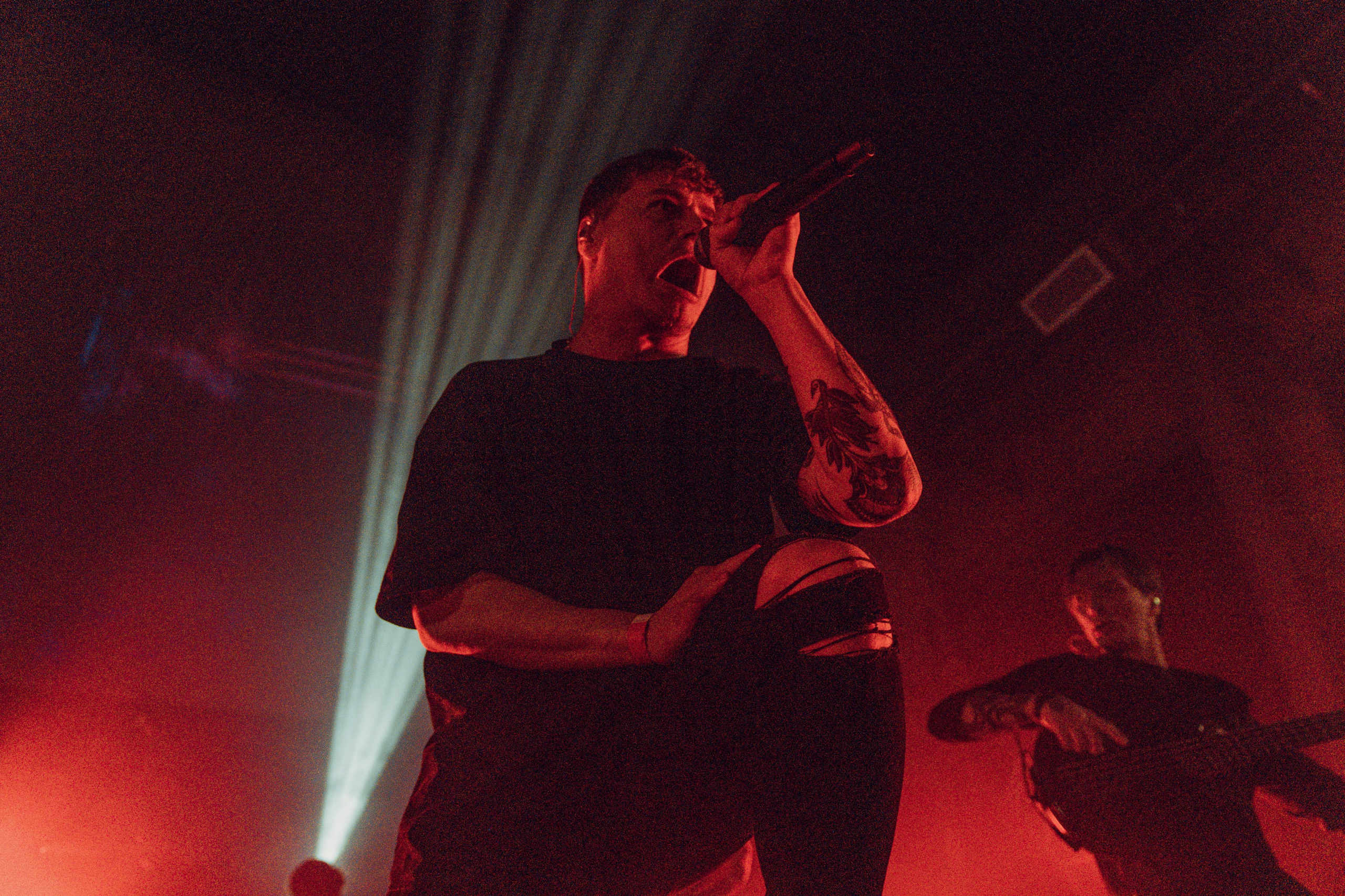 The Korea 12.01.2024. Фотограф Дядя Сник