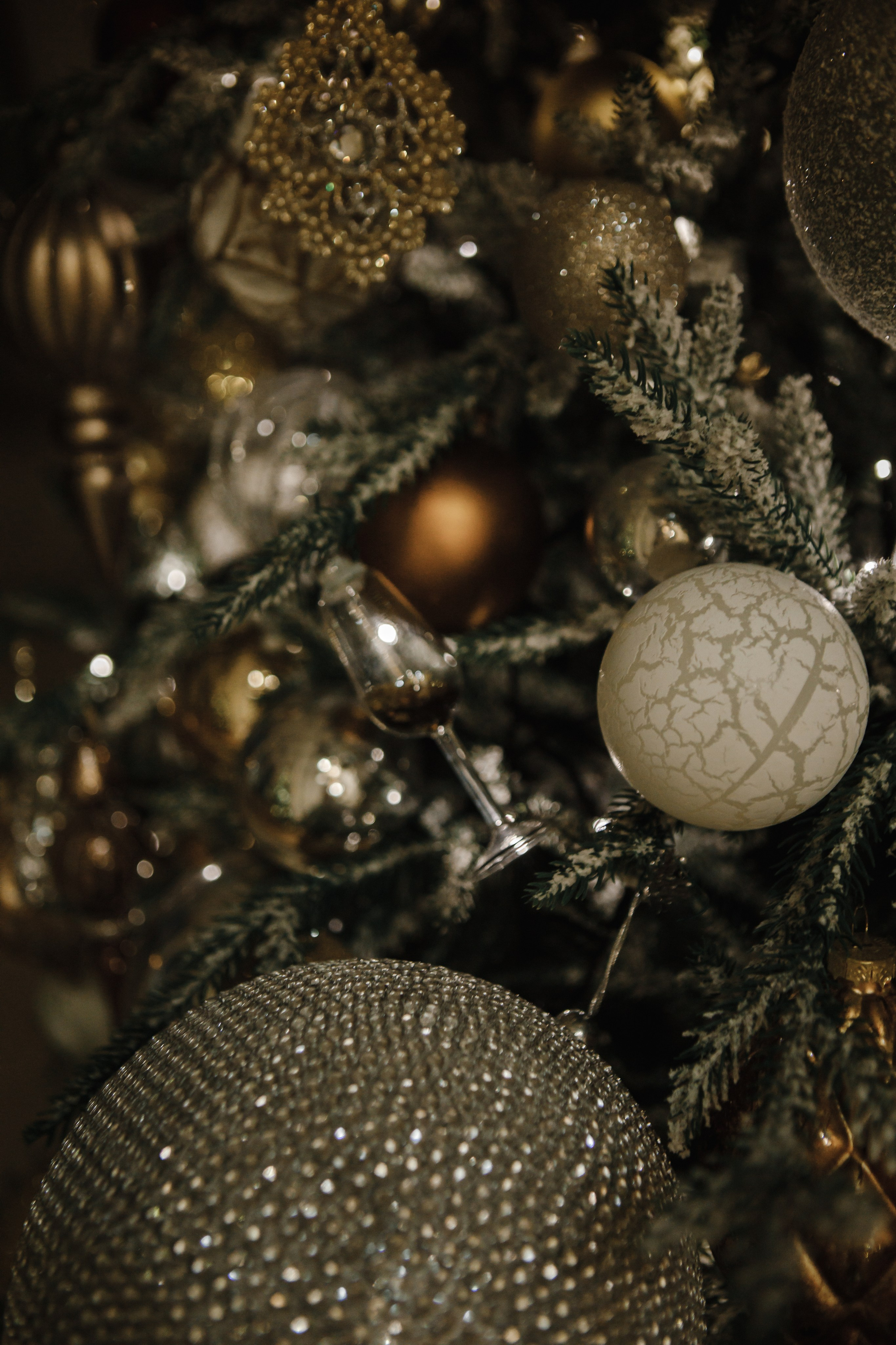 Новогодняя. Свадебный и семейный фотограф Чижова Алина