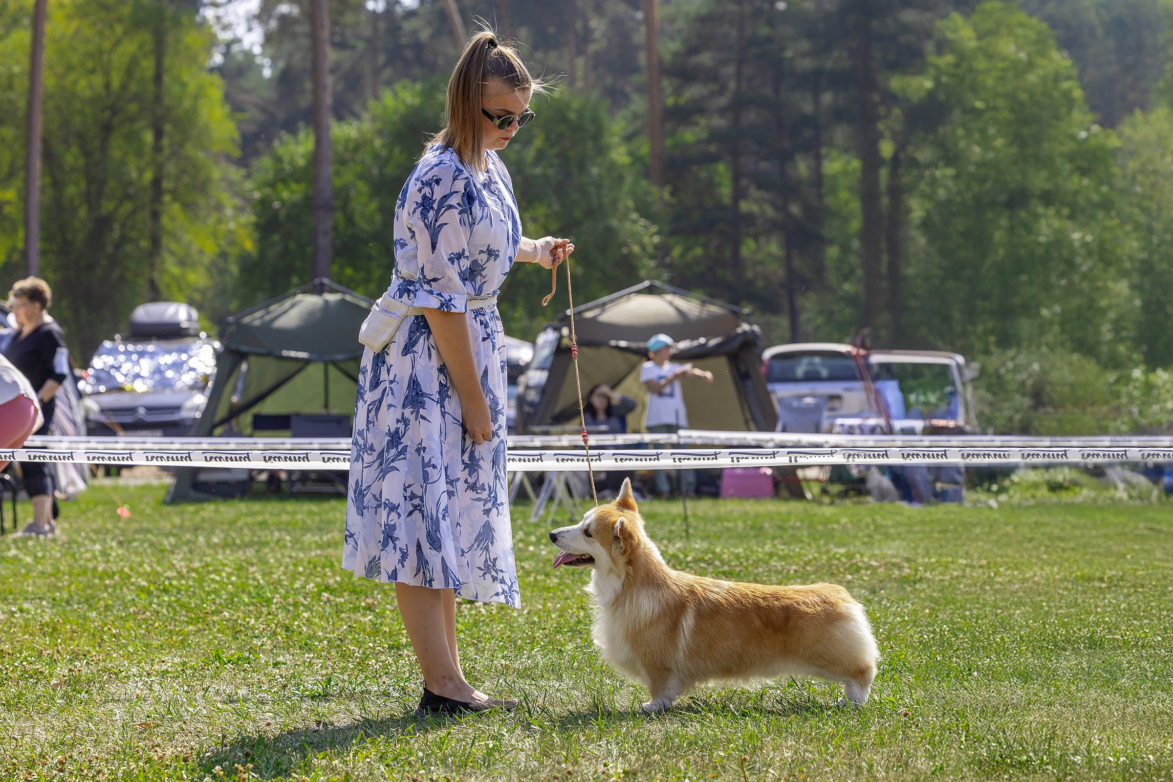 2–3 августа 2025, Выставка РКФ, г. Пермь. Htykk_photo