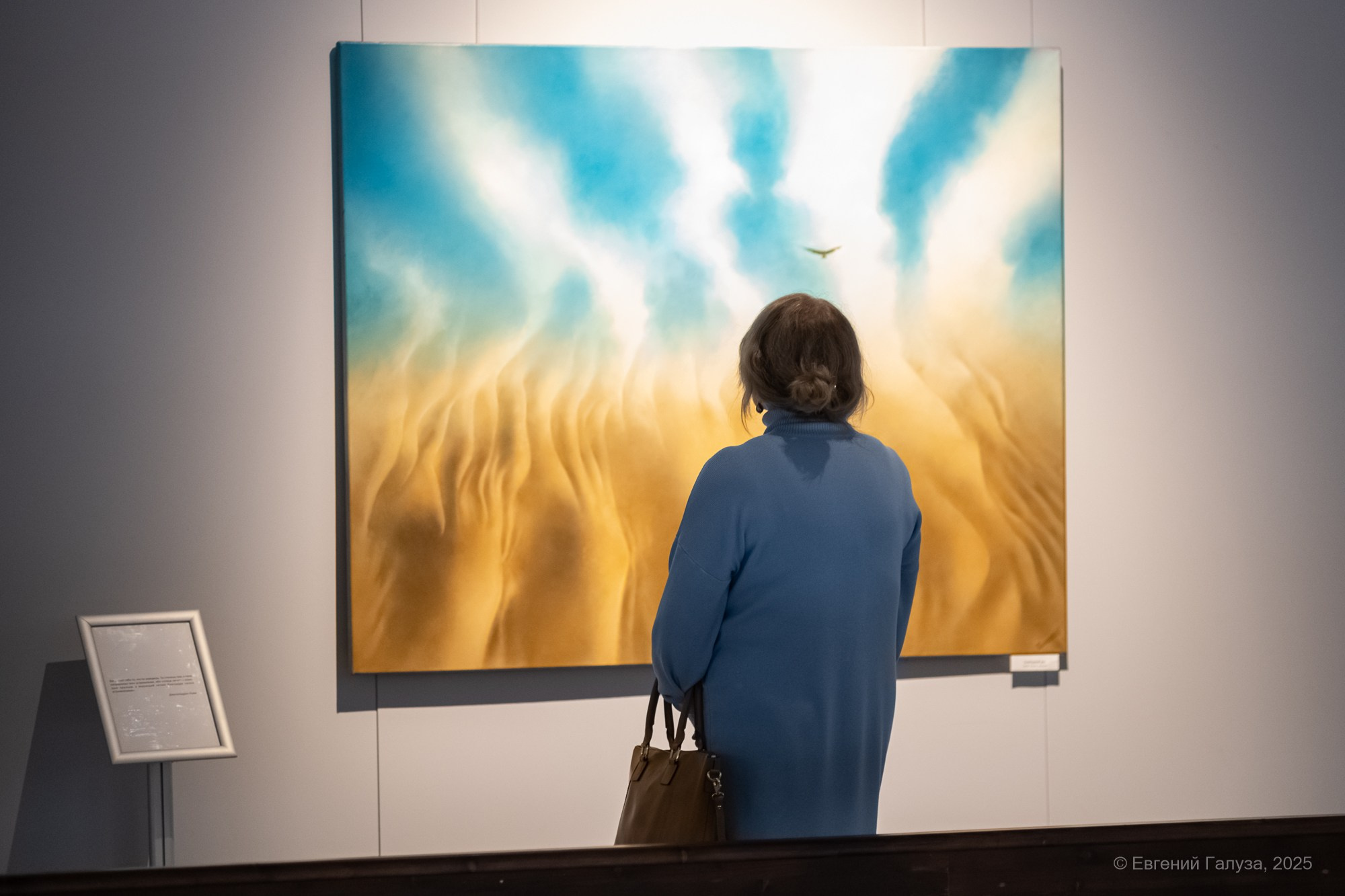 Выставка Игоря Елисеева. Репортажный фотограф г. Чита