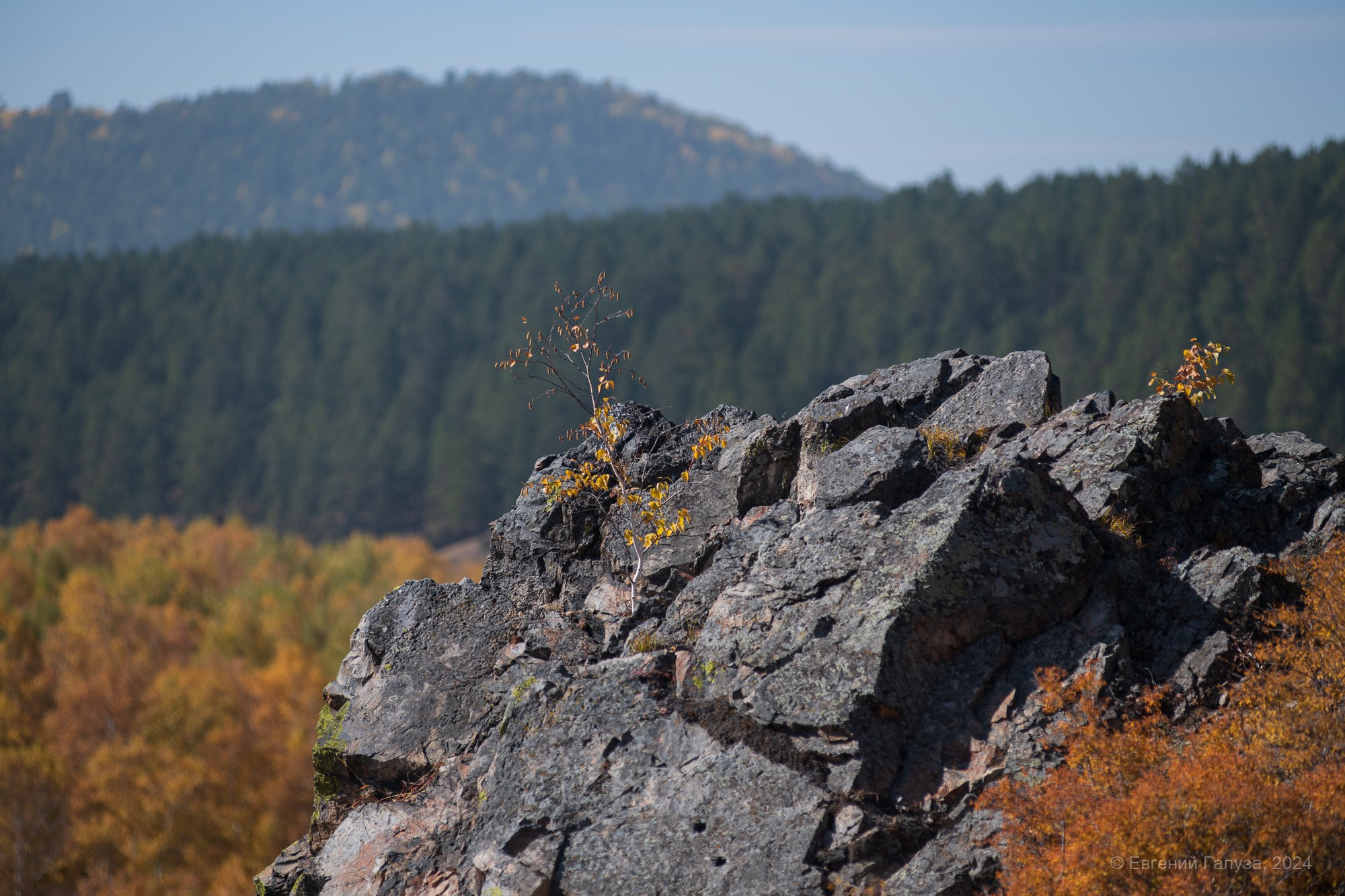 Разное. Репортажный фотограф г. Чита