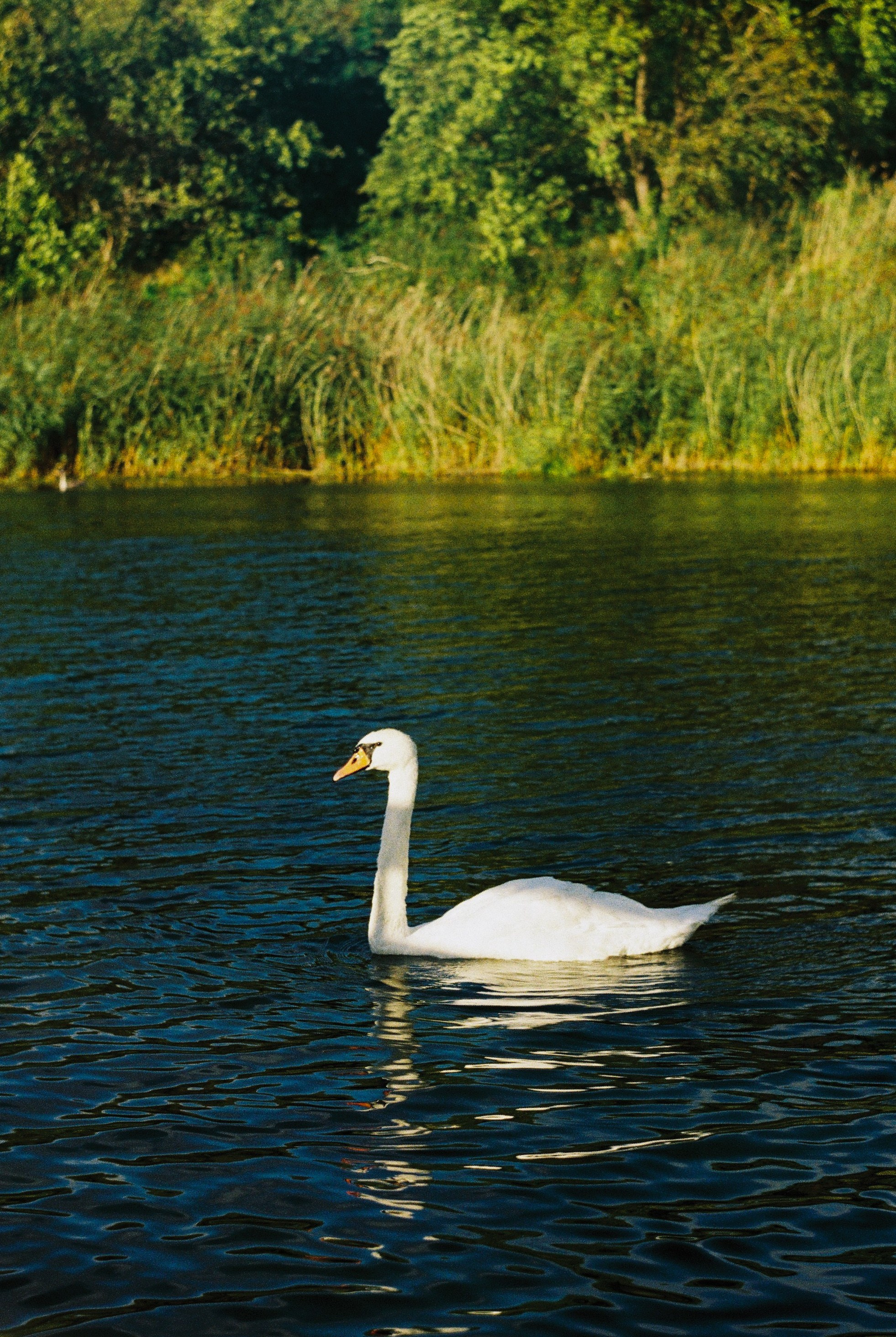 Калининградская область и Санкт-Петербруг | 2024. Портретный фотограф | Олеся Комарова | Екатеринбург