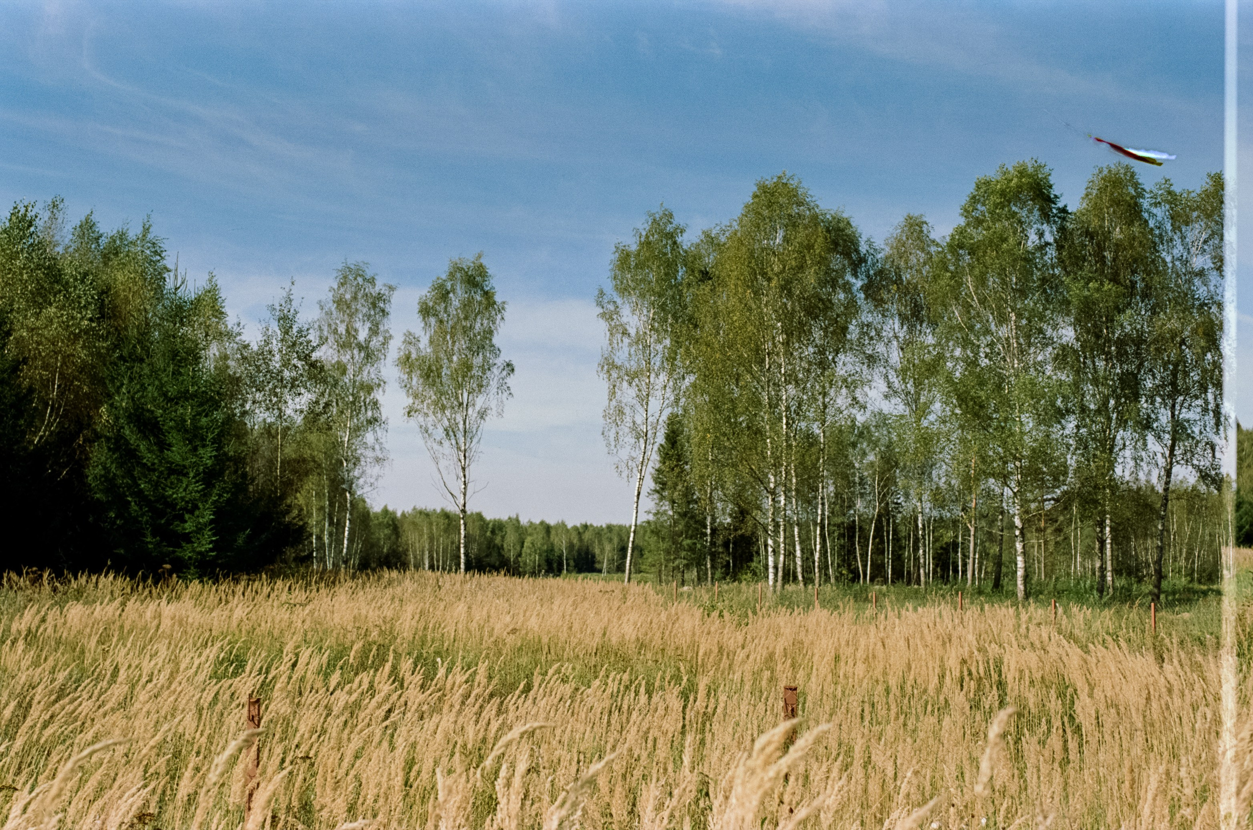 Mamiya 645 PRO обзор и примеры фотографий