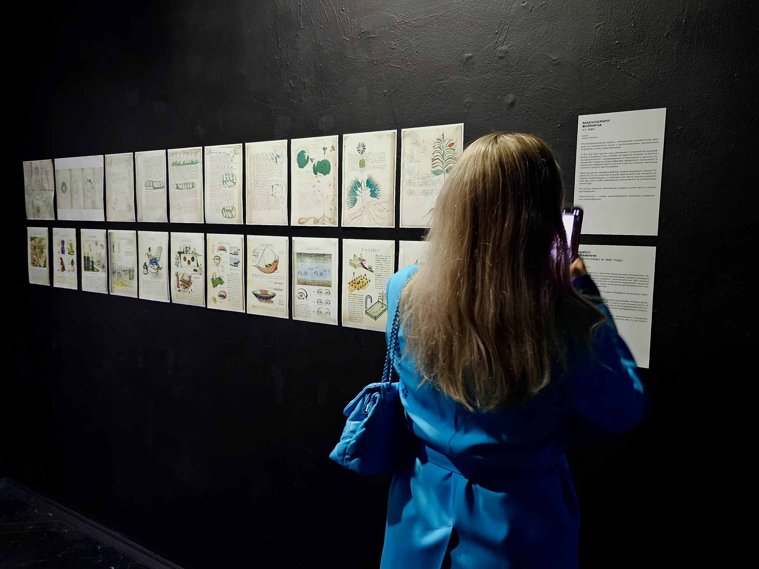 «Трактат о Корчевателе». Современная художница Елена Алексеева (Alpha_Vita)