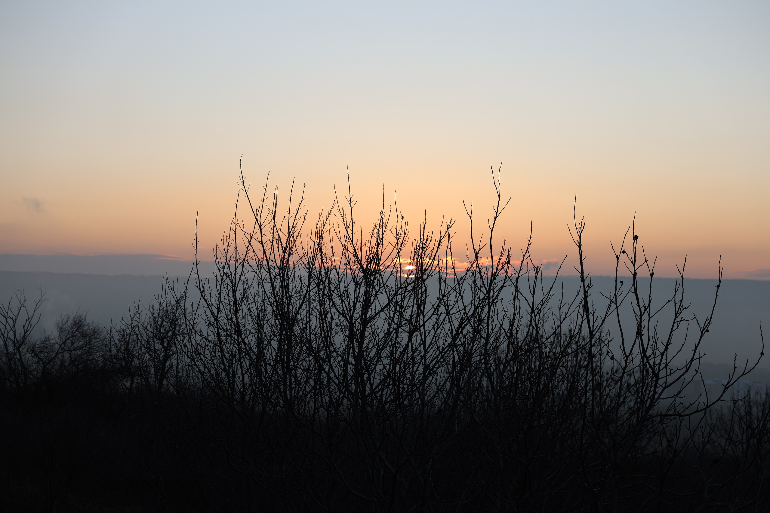 Фотограф Мария Алексеева. Мария Алексеева. Фотограф в Москве