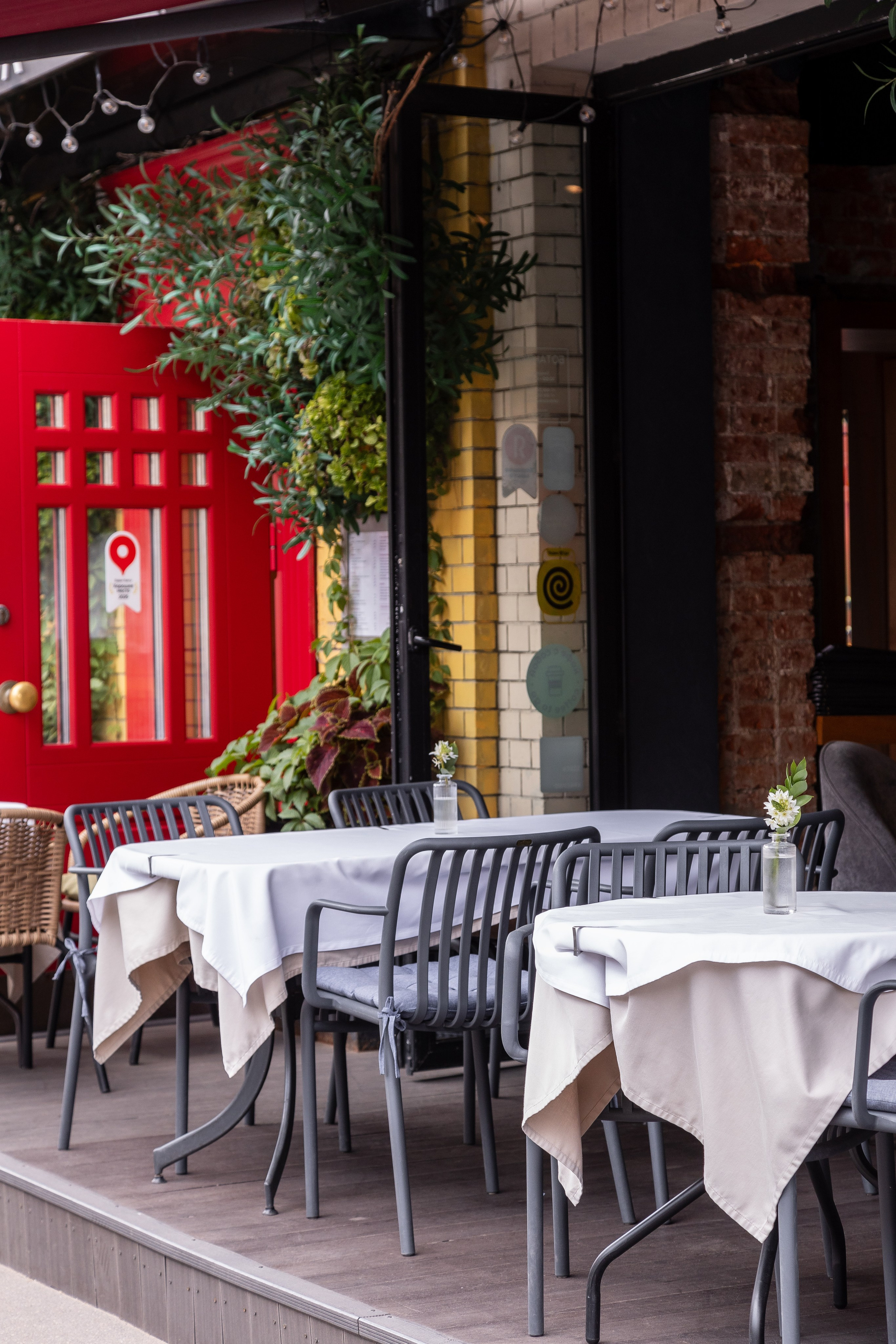 Контент ресторан Ботаника. Фуд-фотограф/ Москва / Фотосъемка еды