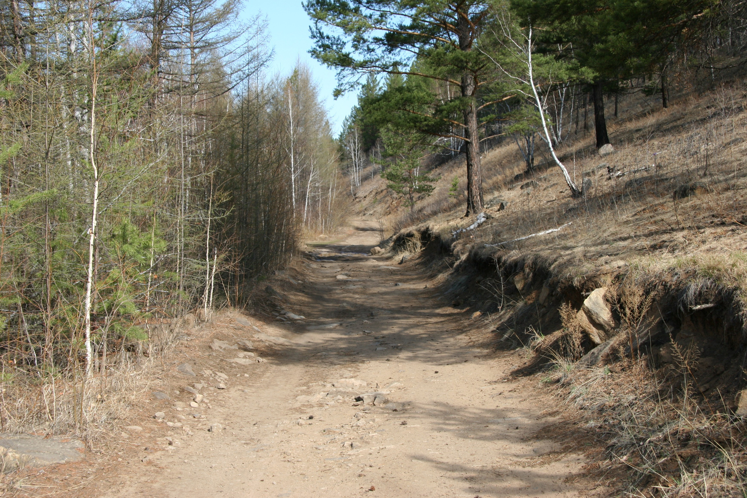 Фото Природы Забайкалья. Студия Максима Белослюдцева