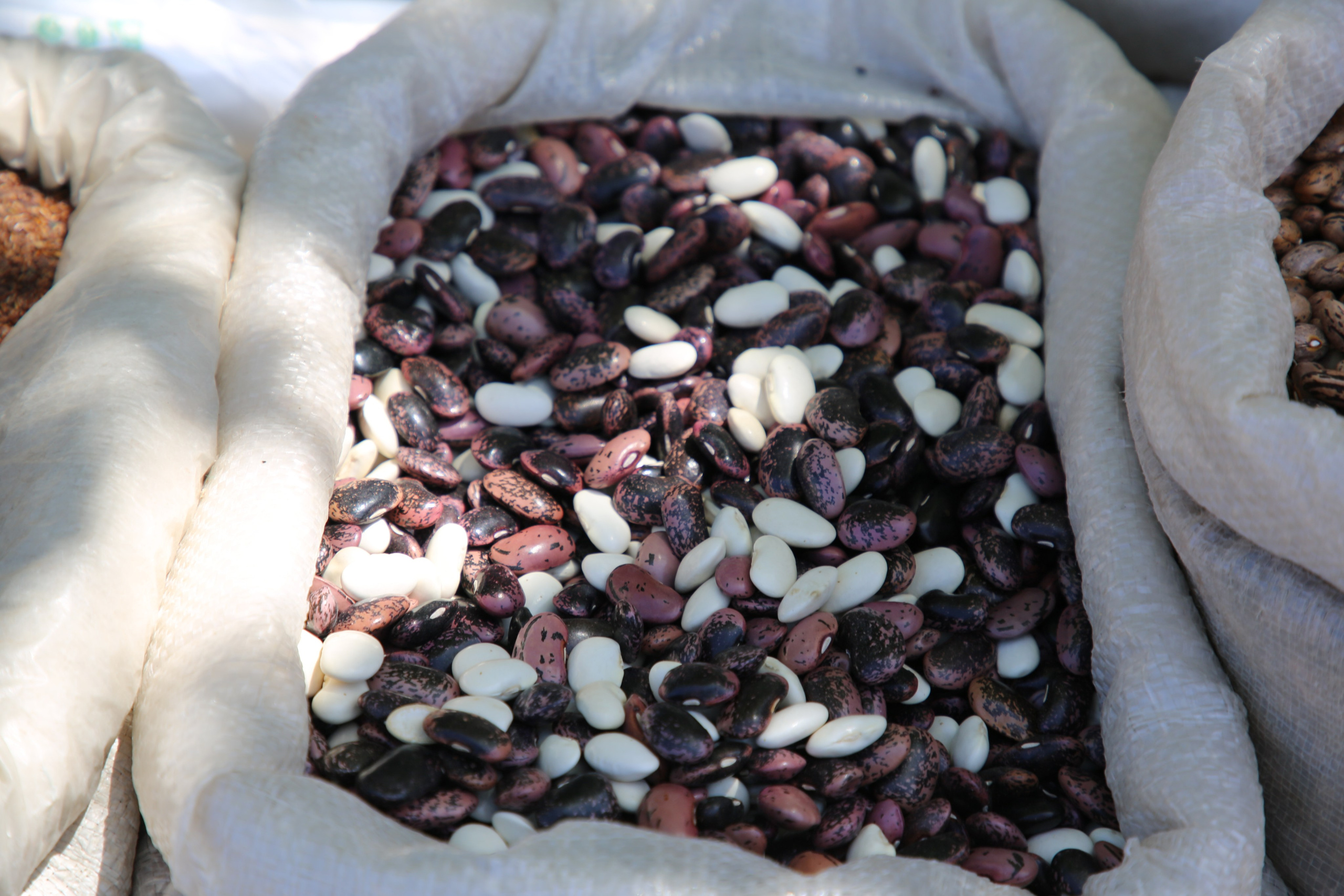 Espihnio, Portugal. Andrey Filippov Photographer