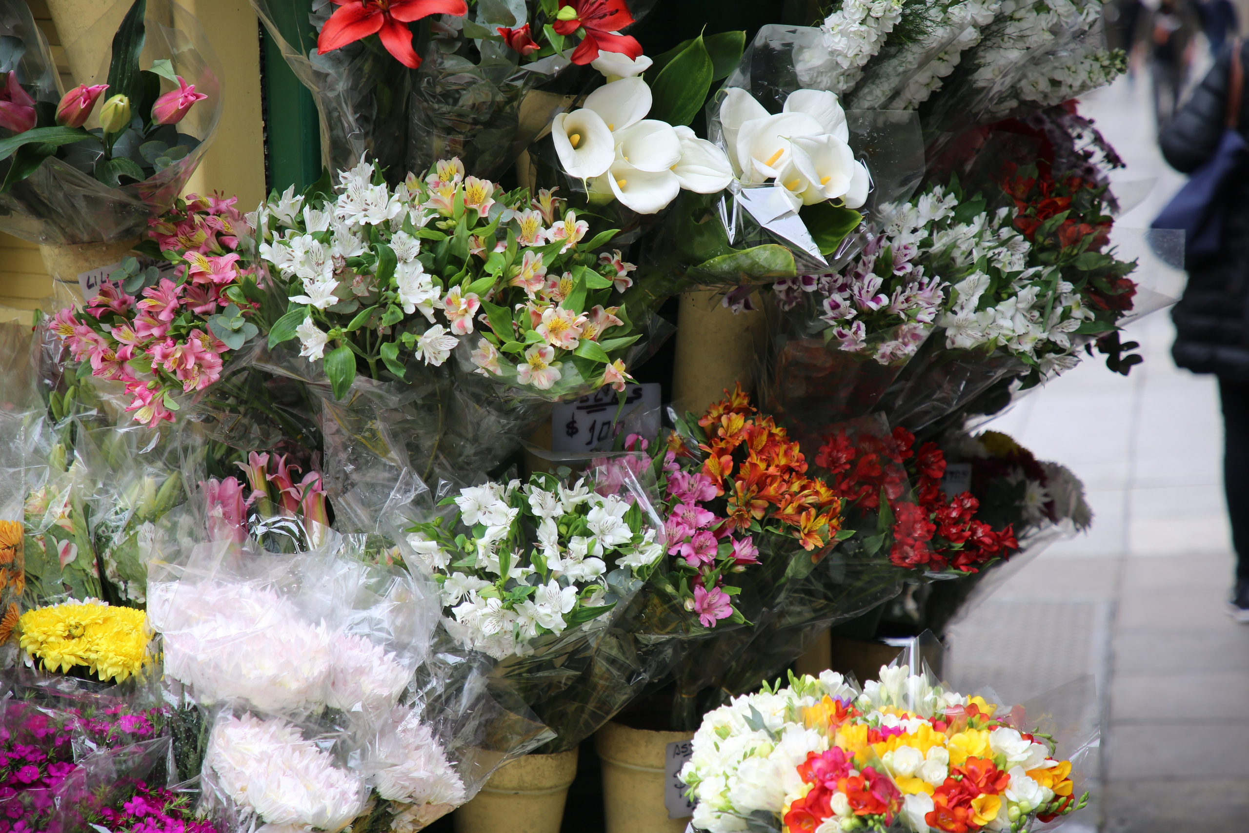 Buenos Aires, Argentina. Andrey Filippov Photographer