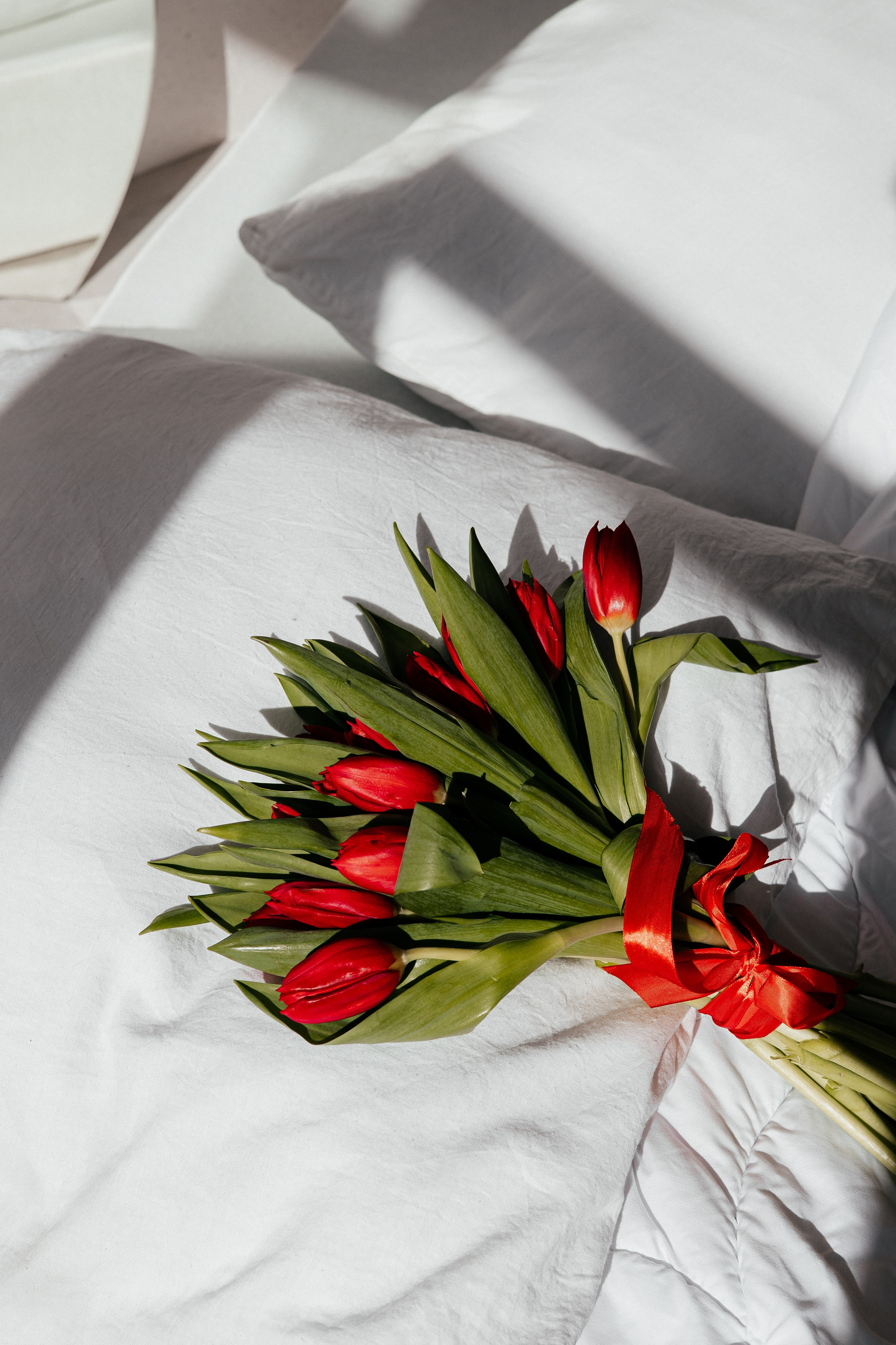 Анна. Красные тюльпаны