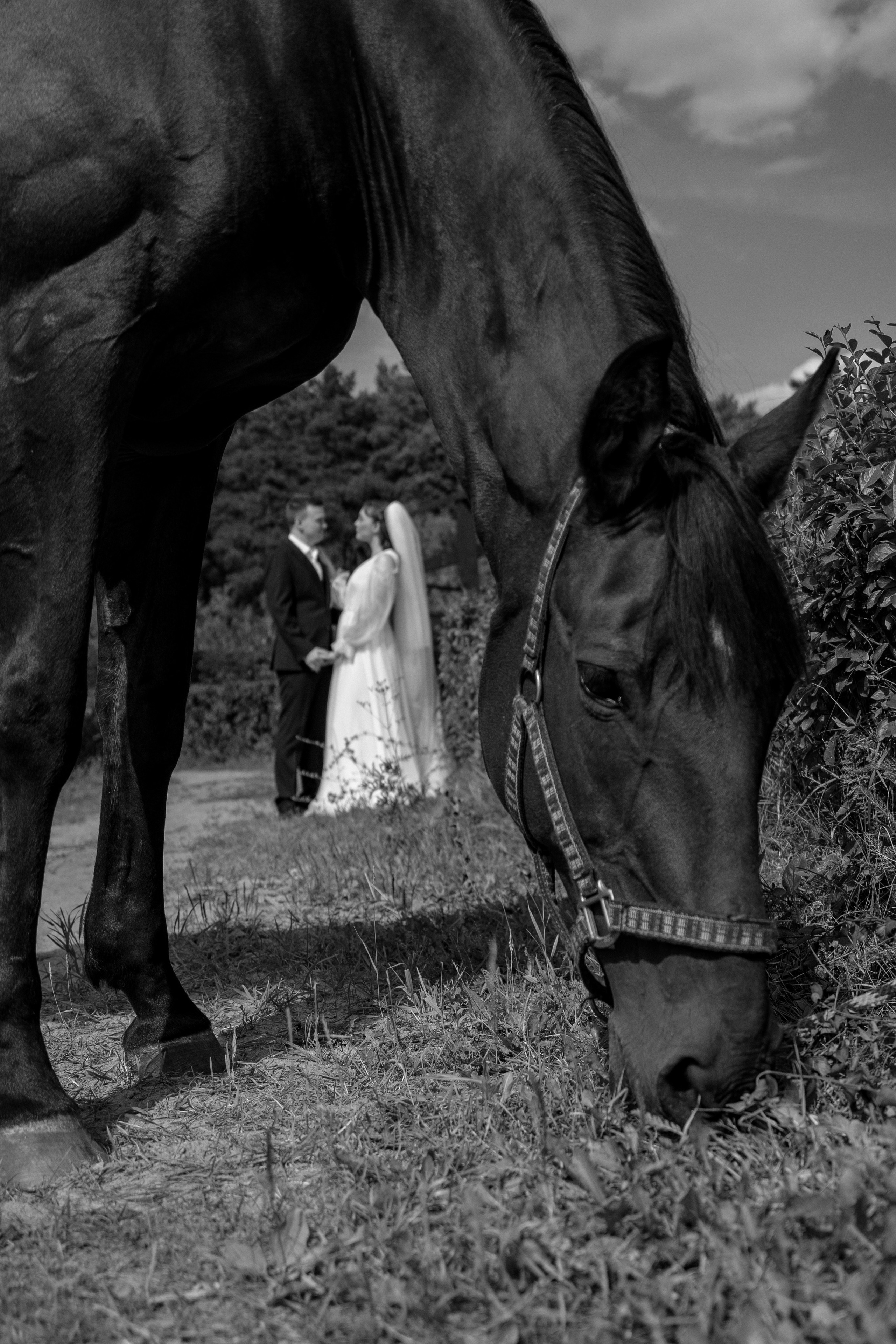 Екатерина и Тимофей. Ульяна Ремезова | Фотограф | Челябинск