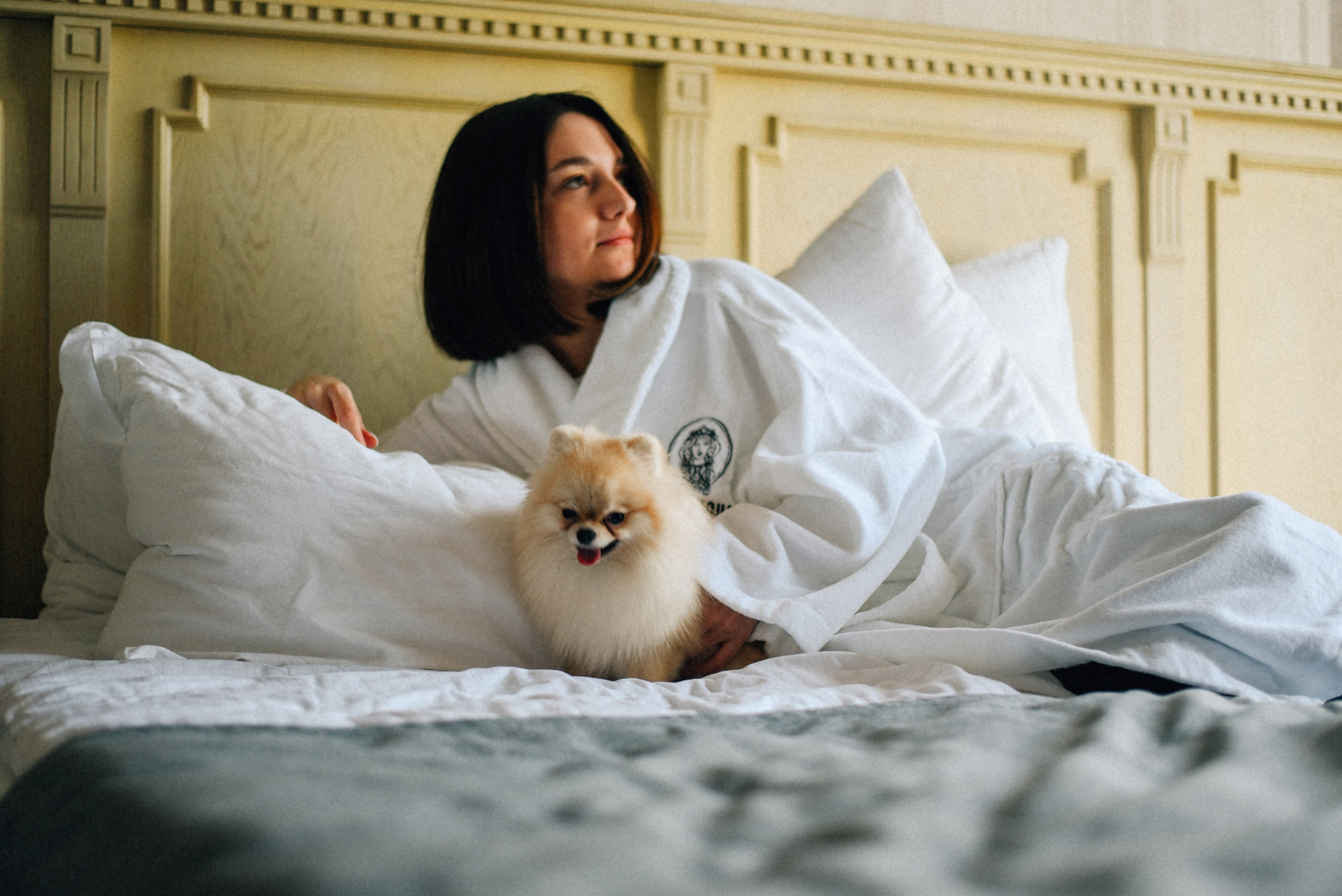 ARBAT HOUSE HOTEL. Фотограф Лола Волна, город Москва