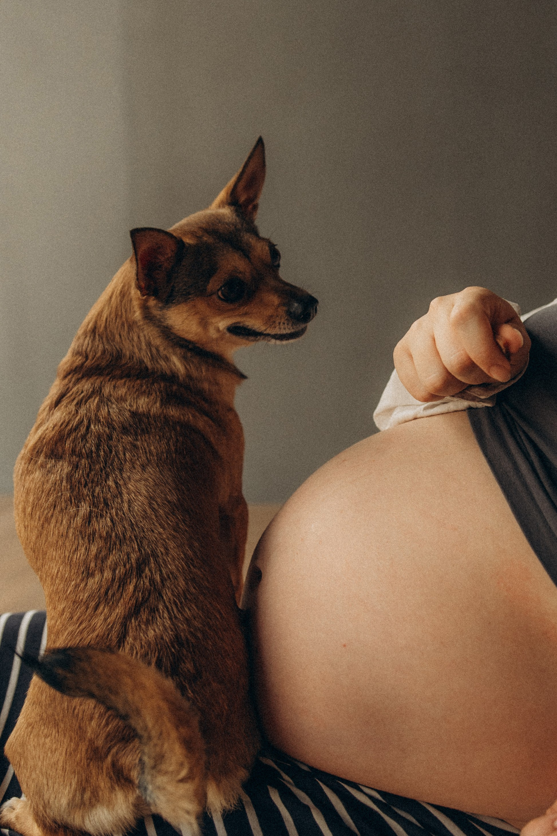 Алена, Антон и Гая. Гаврилова Настя семейный фотограф lifestyle в Москве