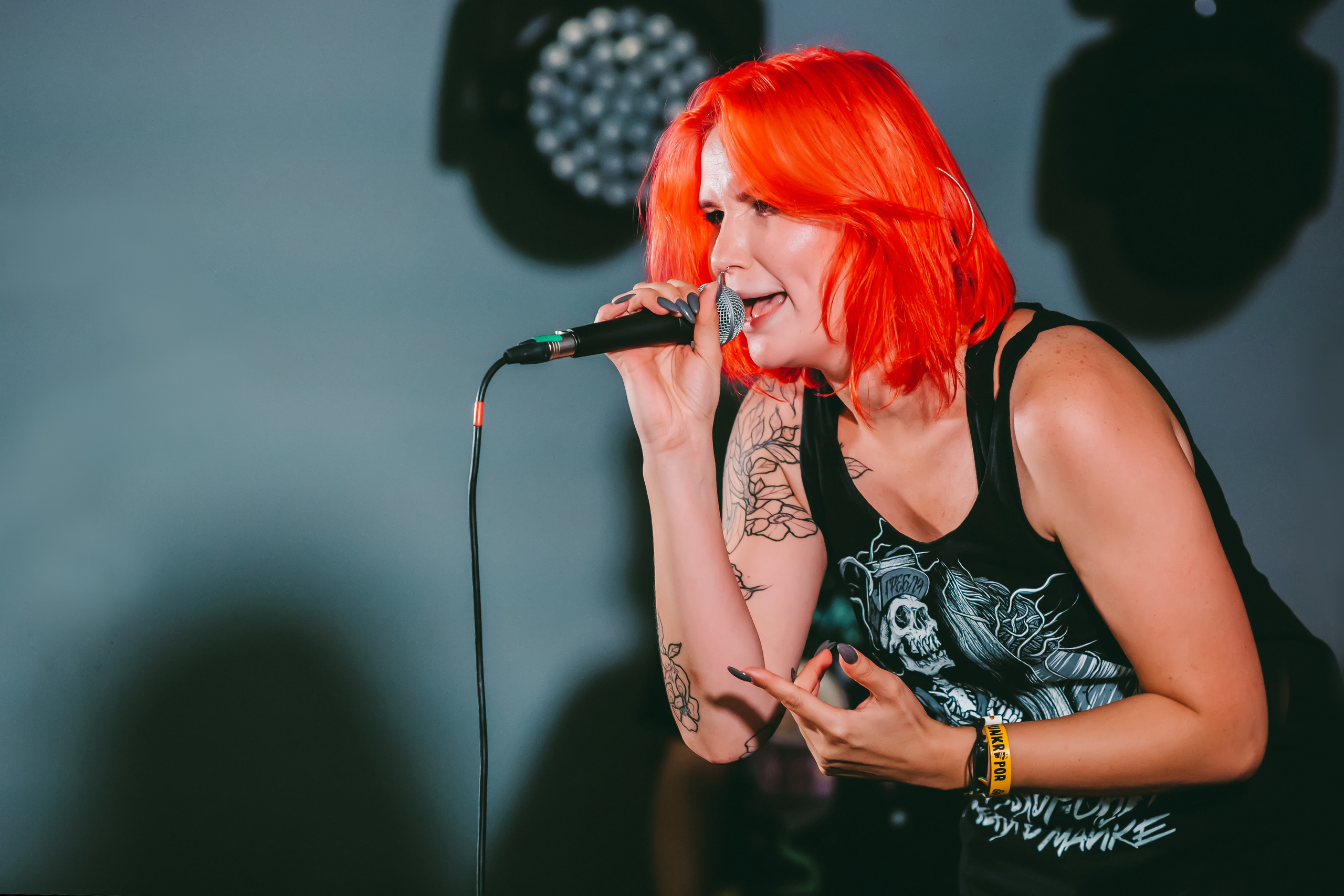 Группа SELLOUT на фестивале PUNKRUPOR. Photographer Sonkina Tatiana (Tanya Ash)