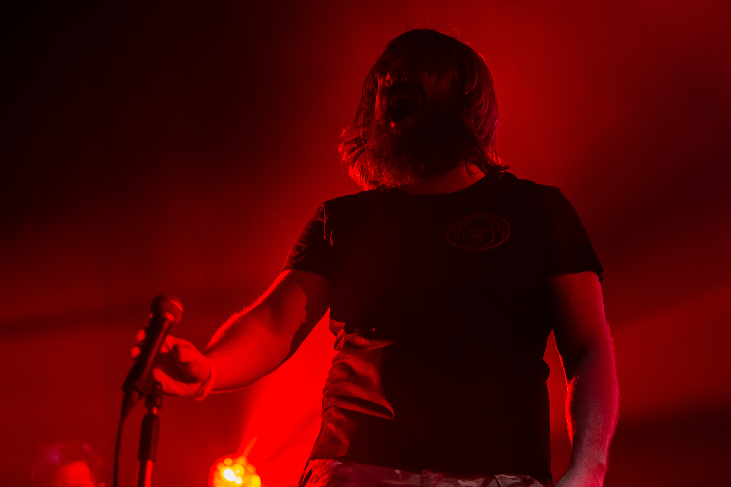 Группа План Ломоносова 29 августа 2020 выступила на фестивале PUN KRUPOR в ДК Горбунова